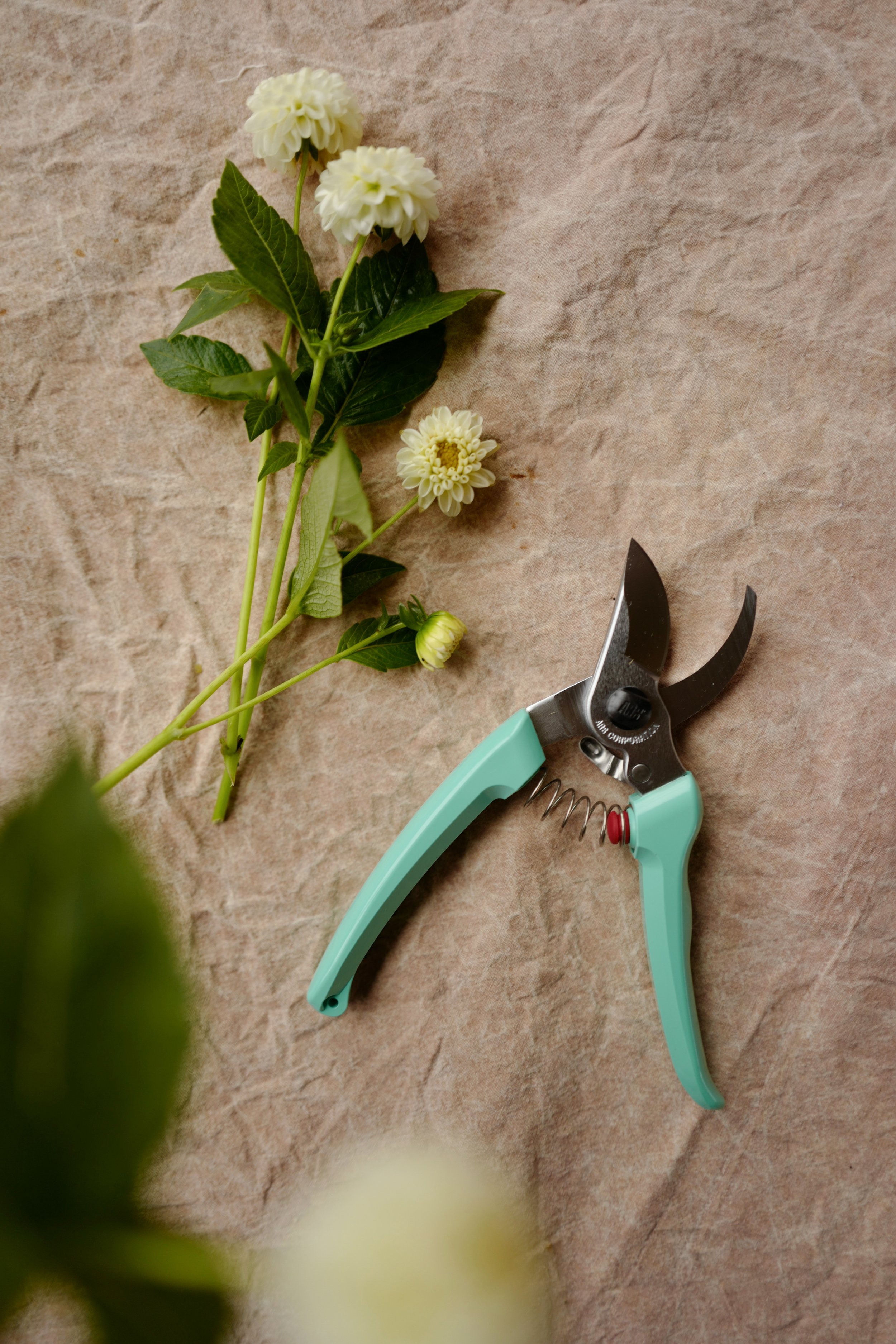 ars-snips-mint2.JPG