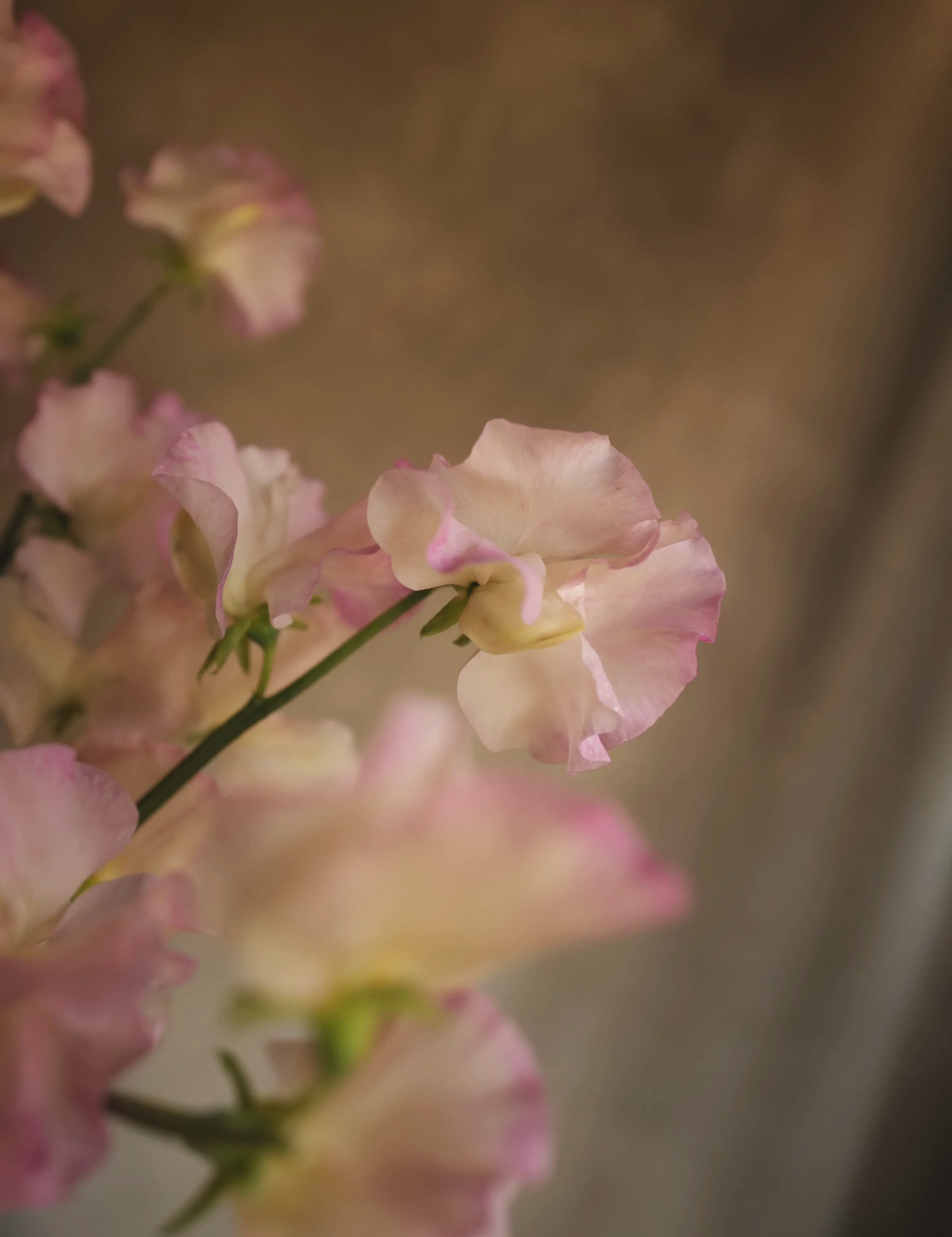 L1420981.png