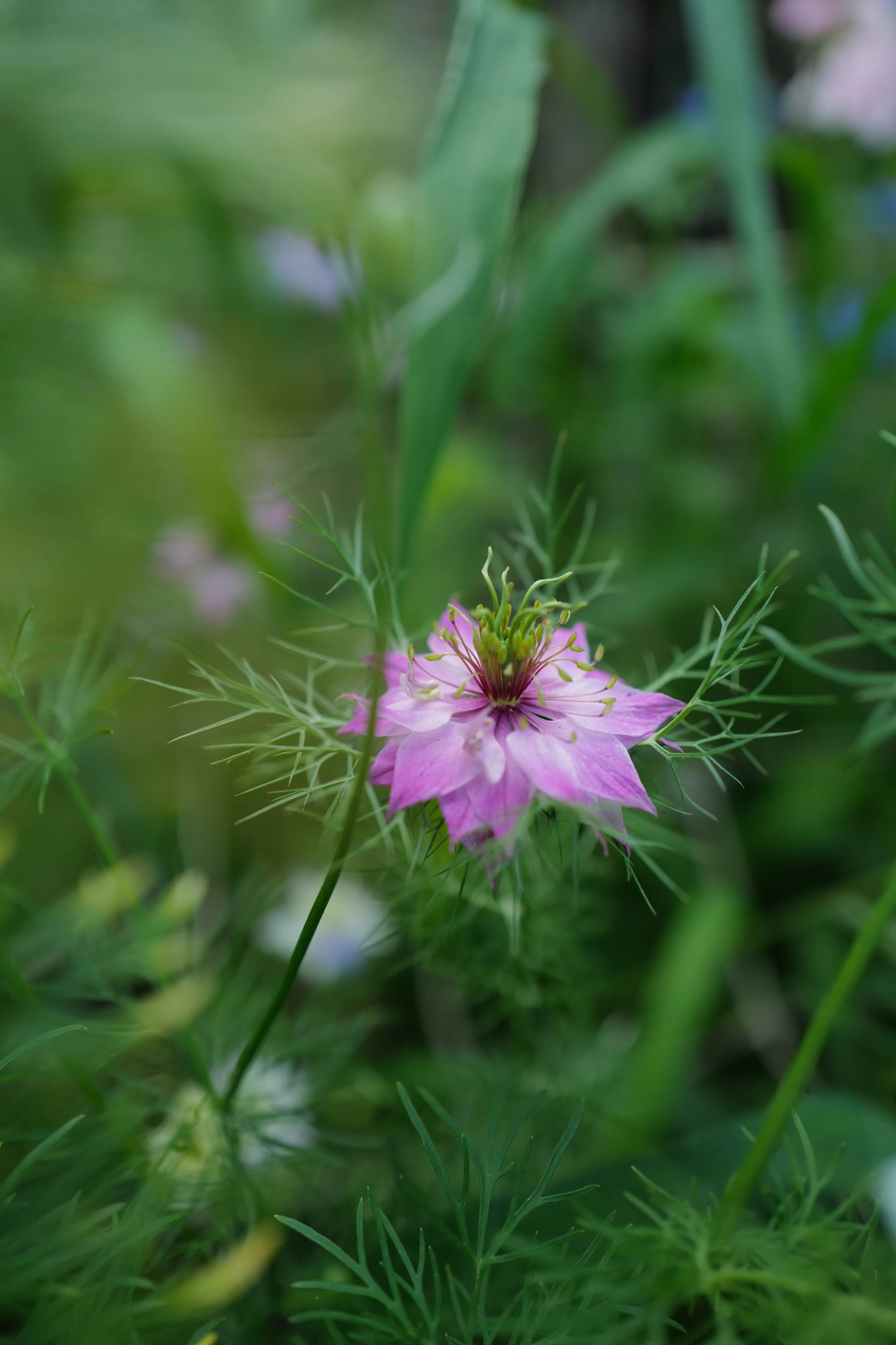 L1440141.JPG