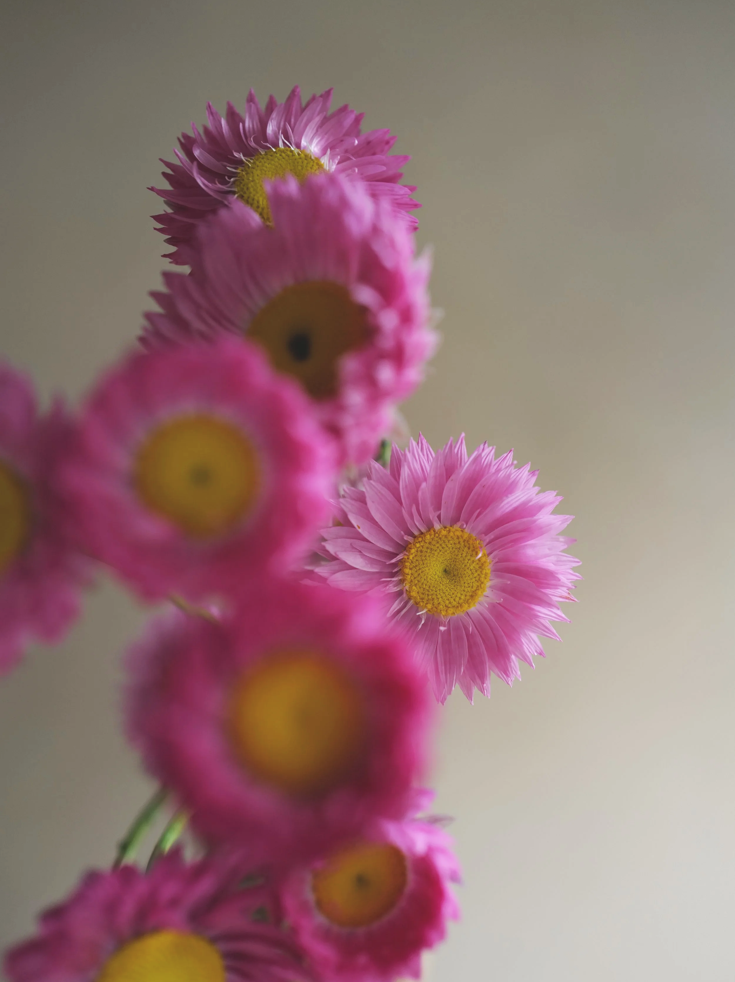 L1390259.png