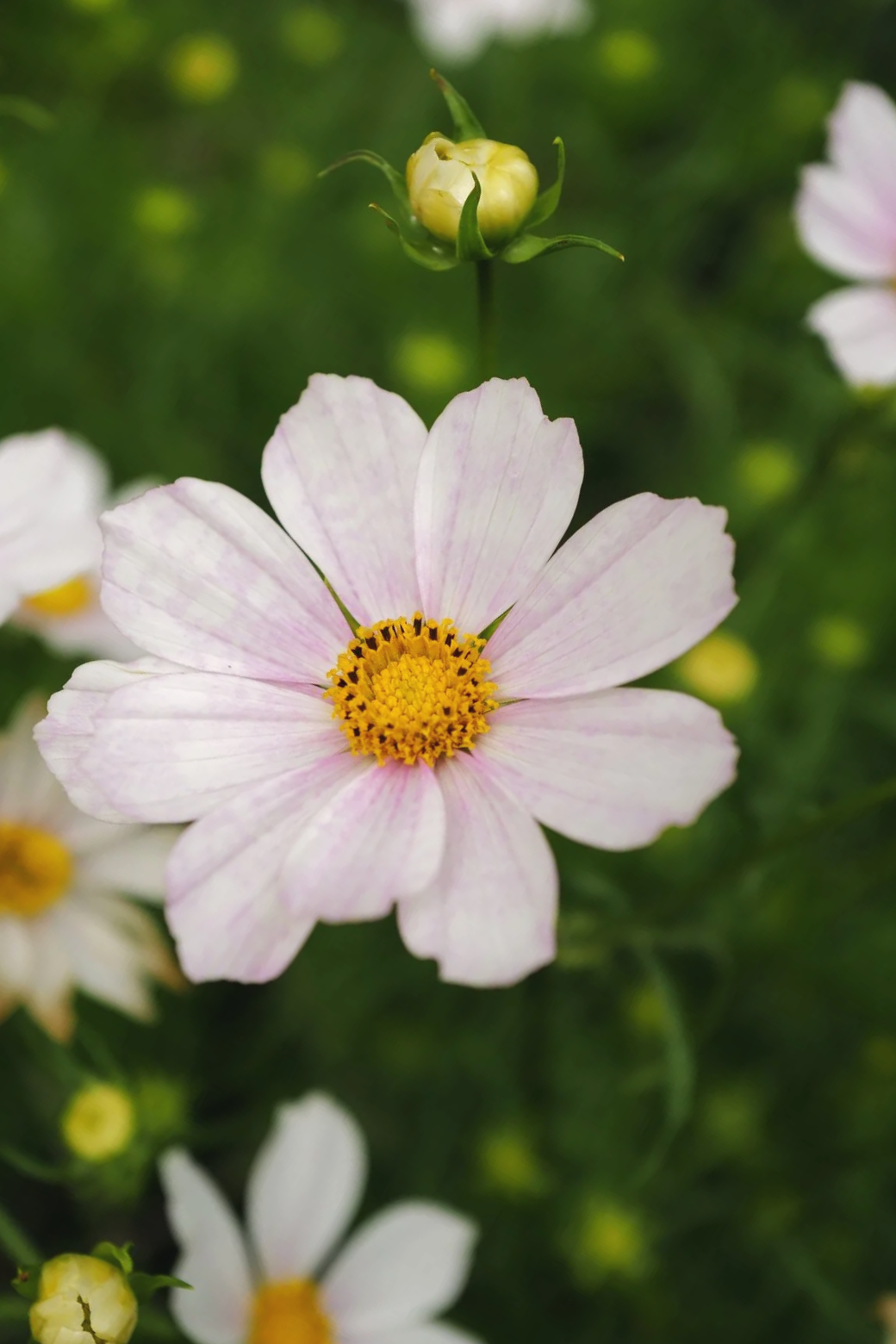 L1430750.png