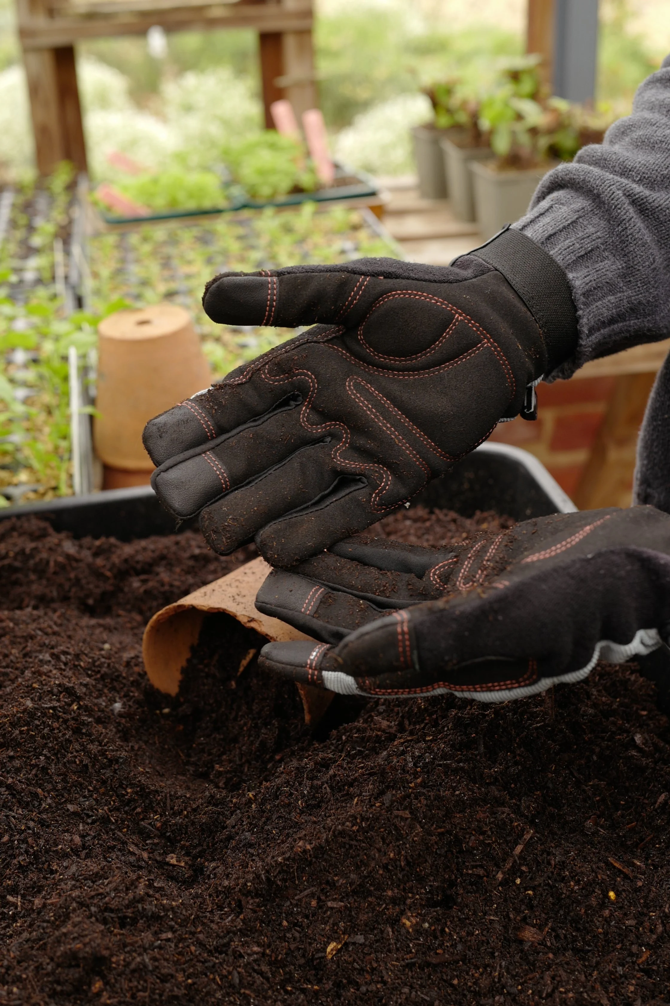 feverfew-gloves2.JPG