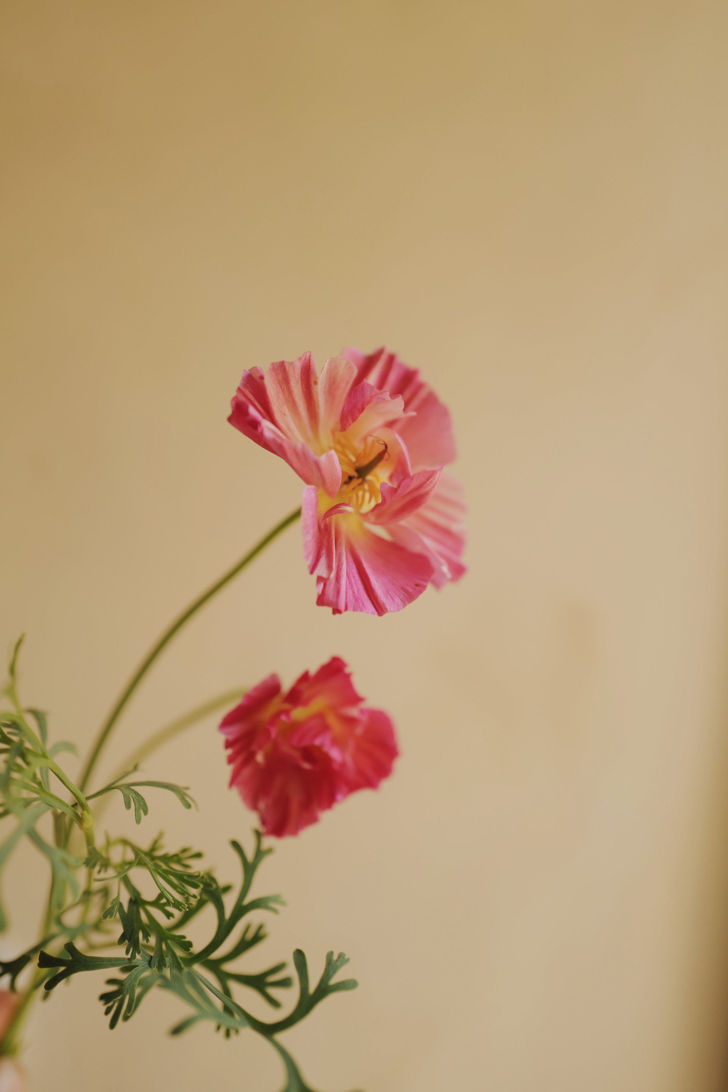L1320572-VSCO.jpeg