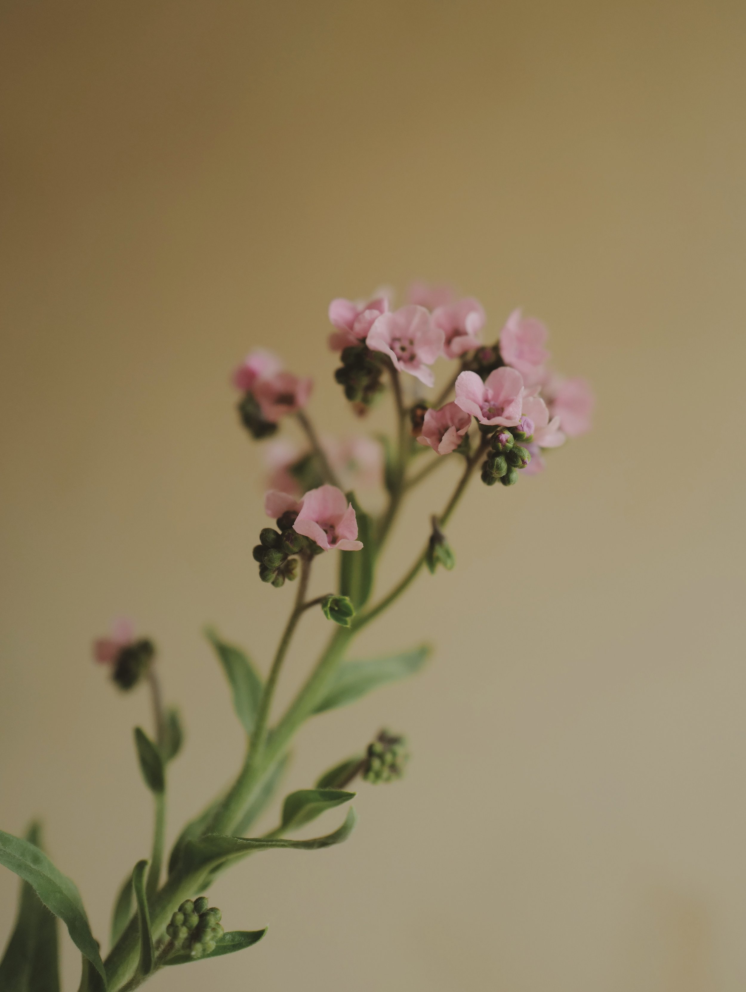 L1320696_VSCO.jpeg