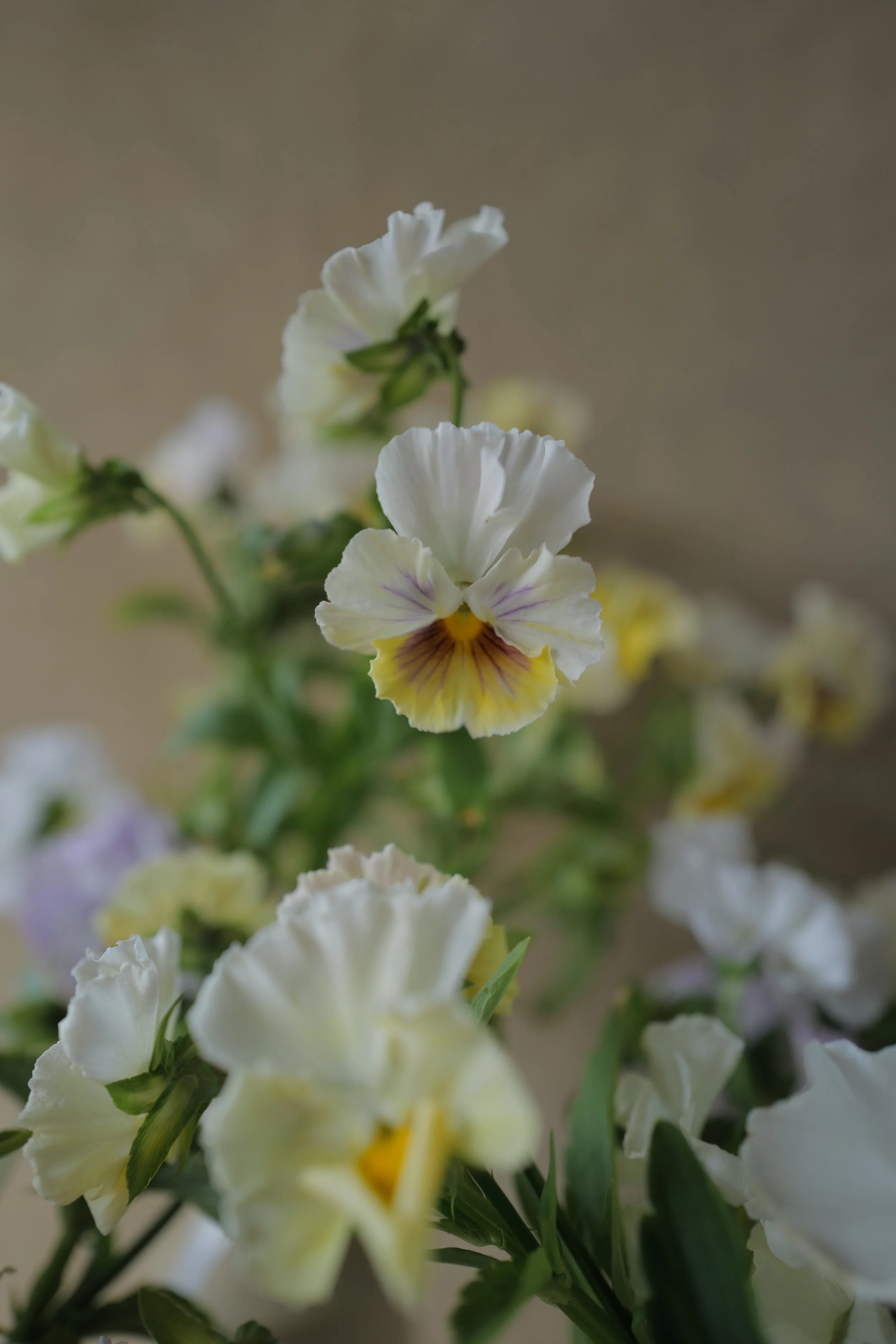 L1540158.JPG