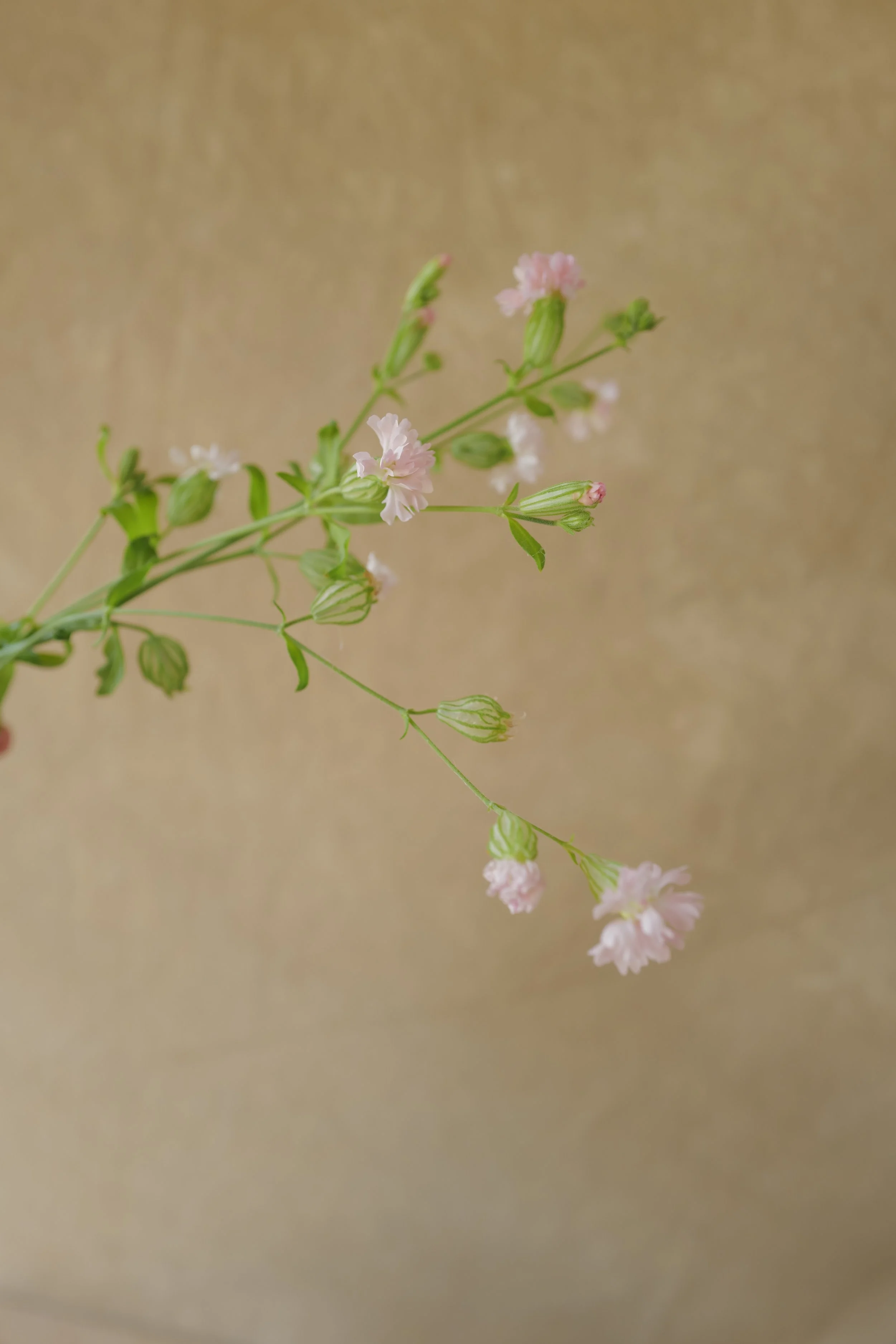 L1540168.JPG