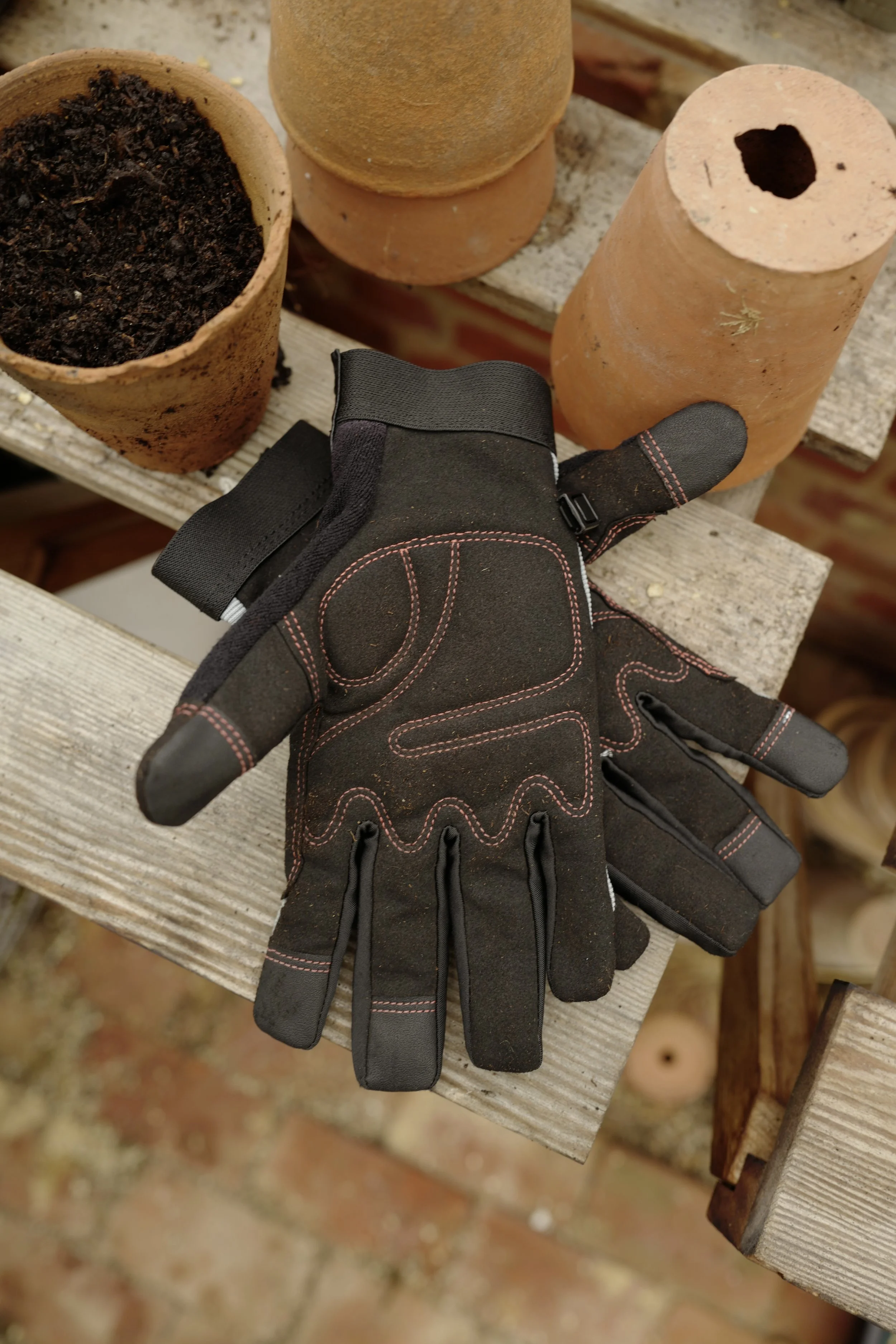 feverfew-gloves1.jpg