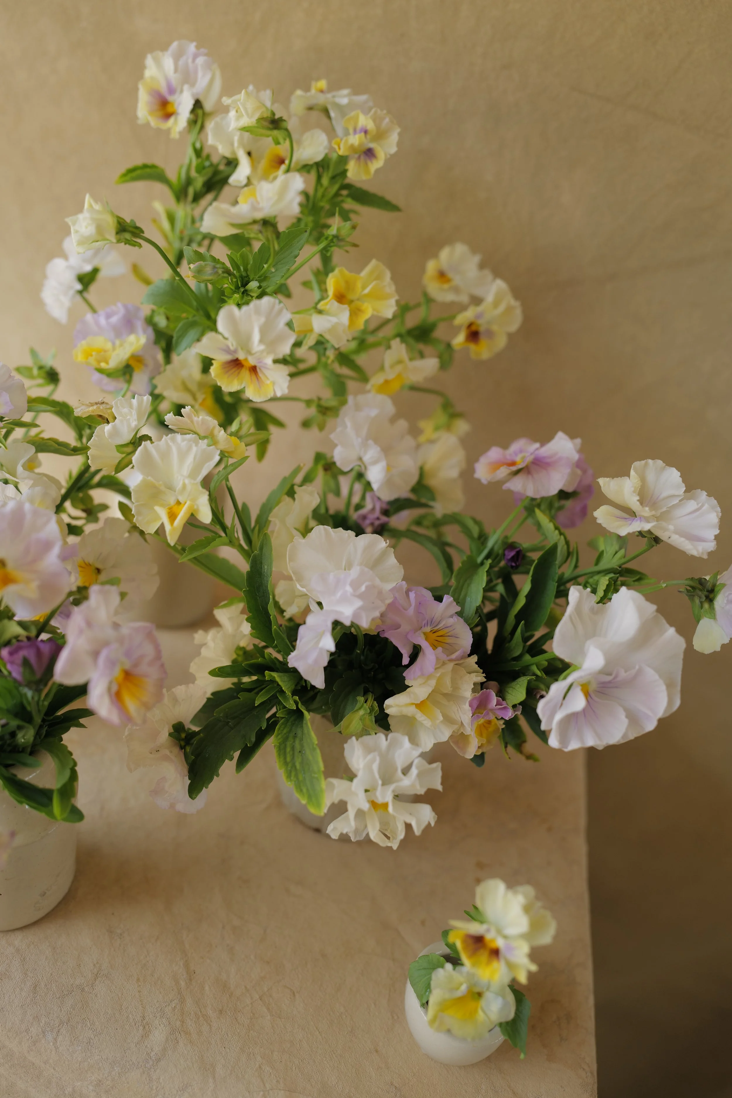 L1540139.JPG