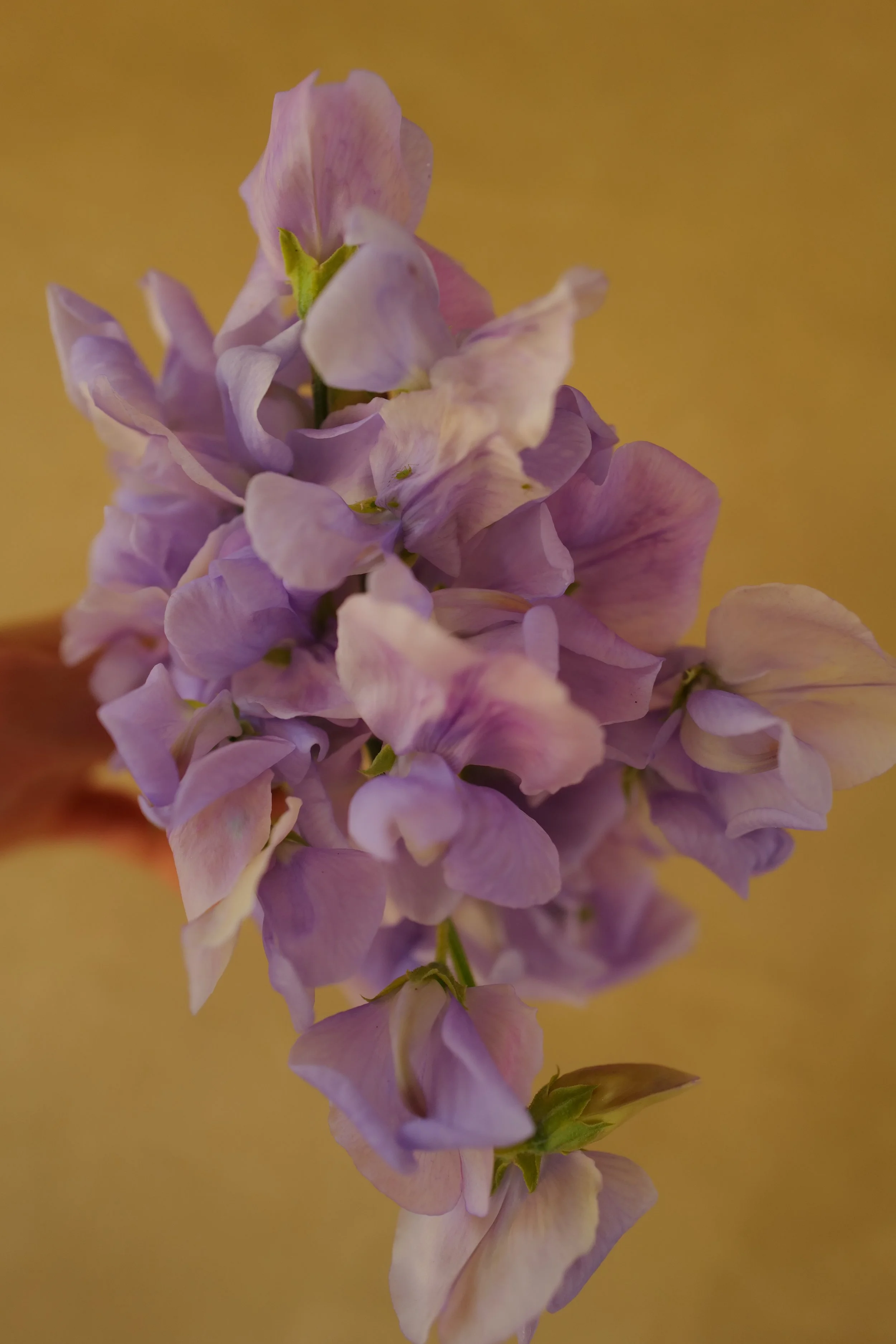 L1530027.JPG