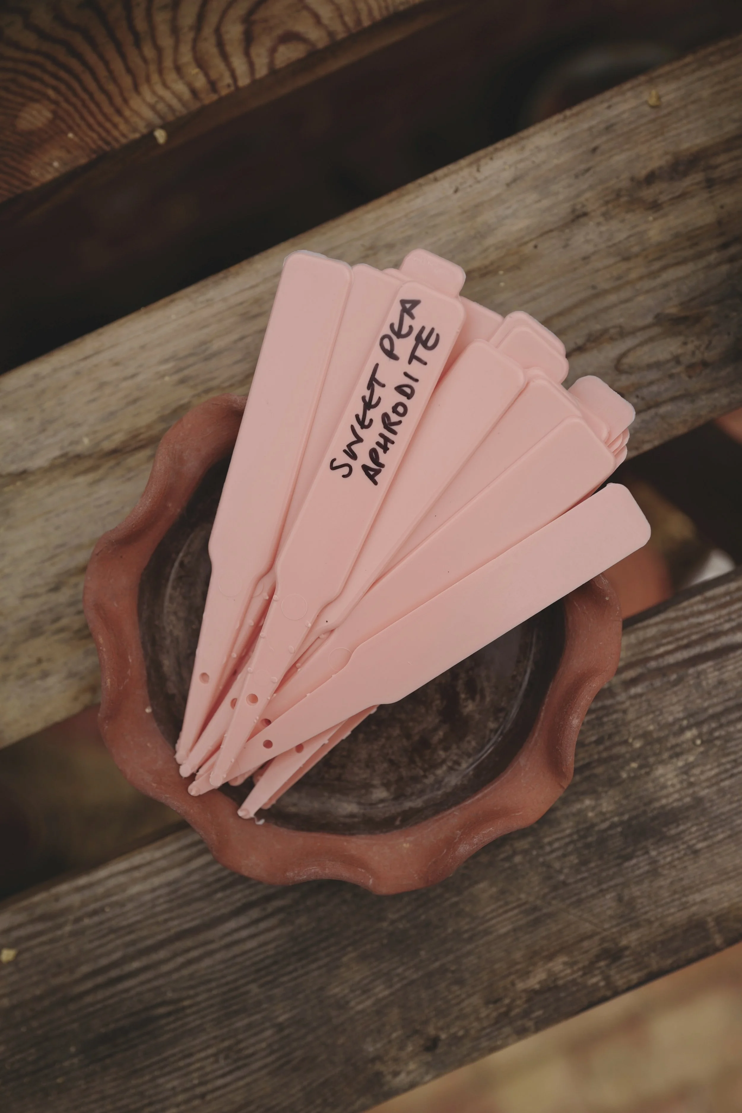perfect-plant-labels.jpg