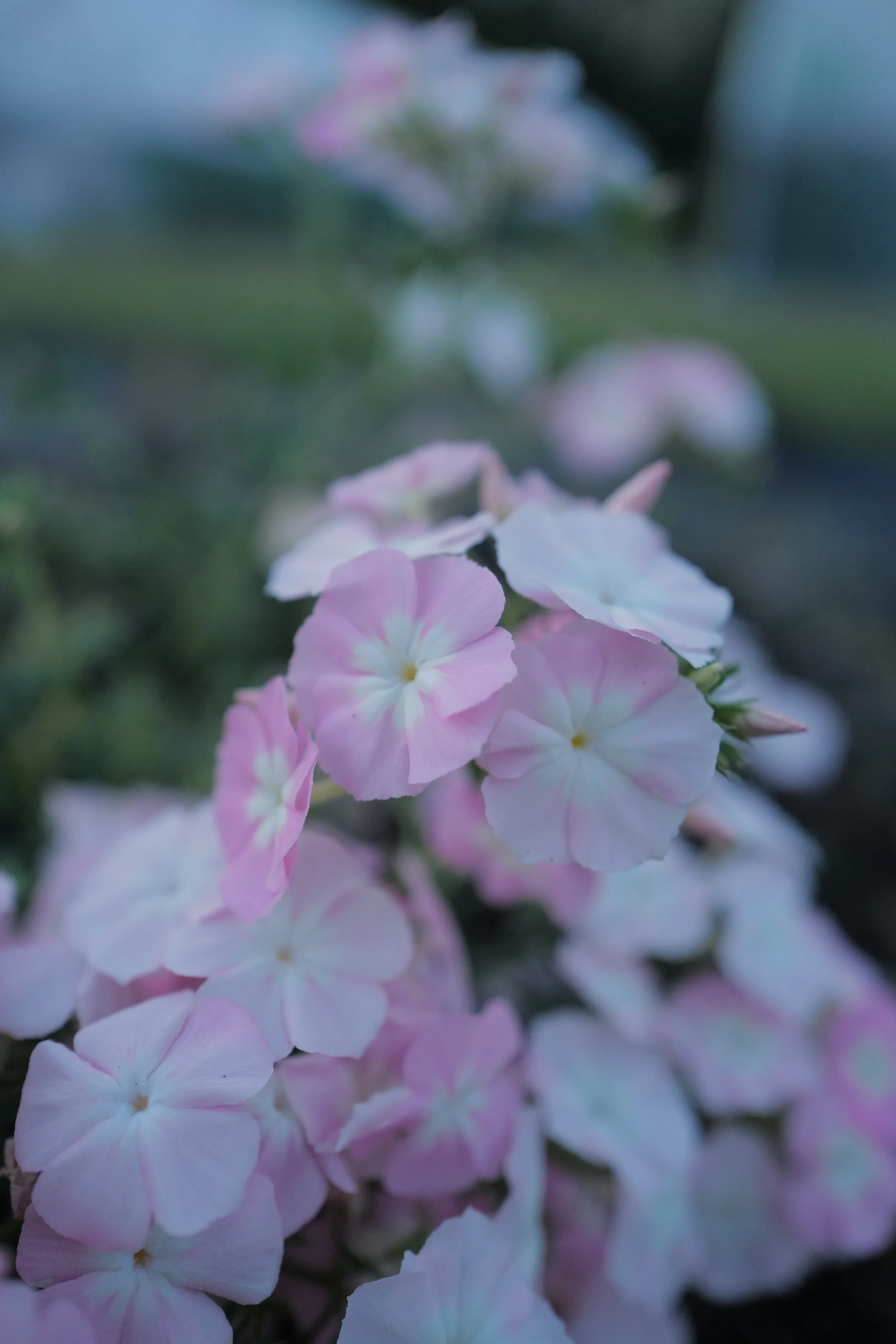 L1580298.JPG