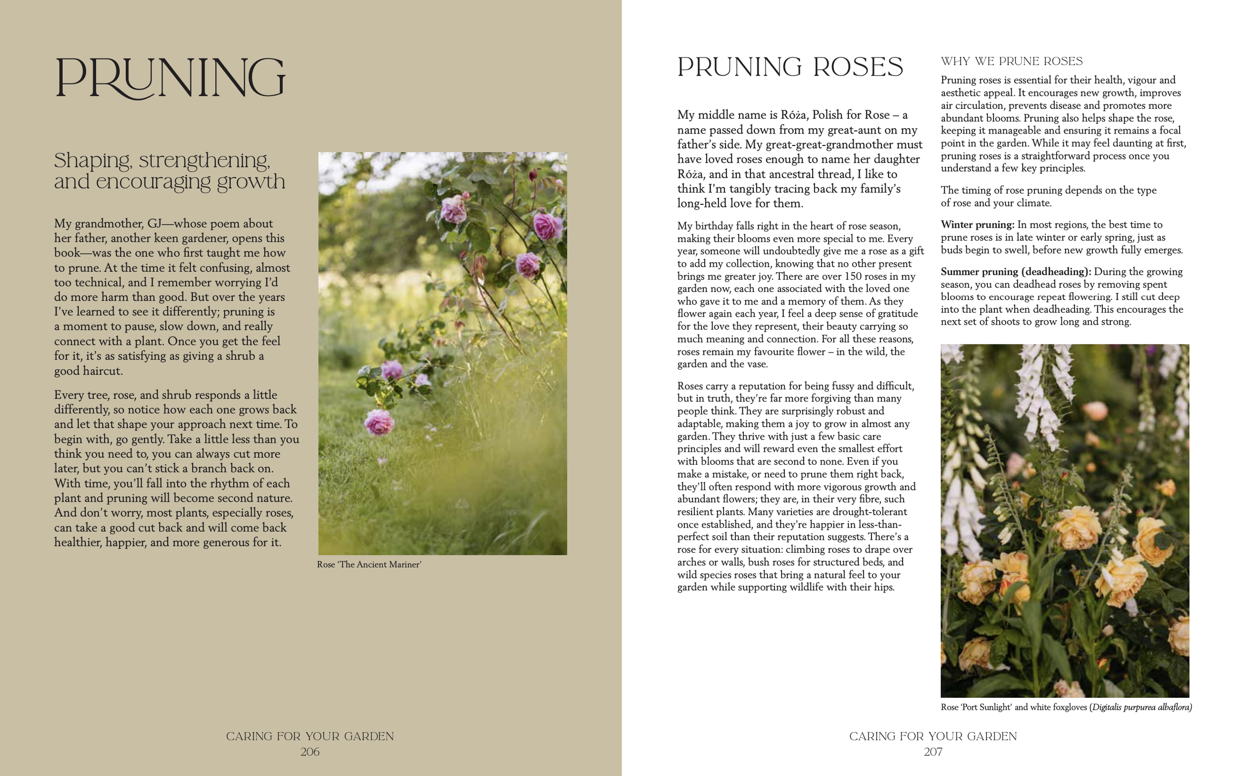 Screenshot 2025-11-26 at 11.12.28.png