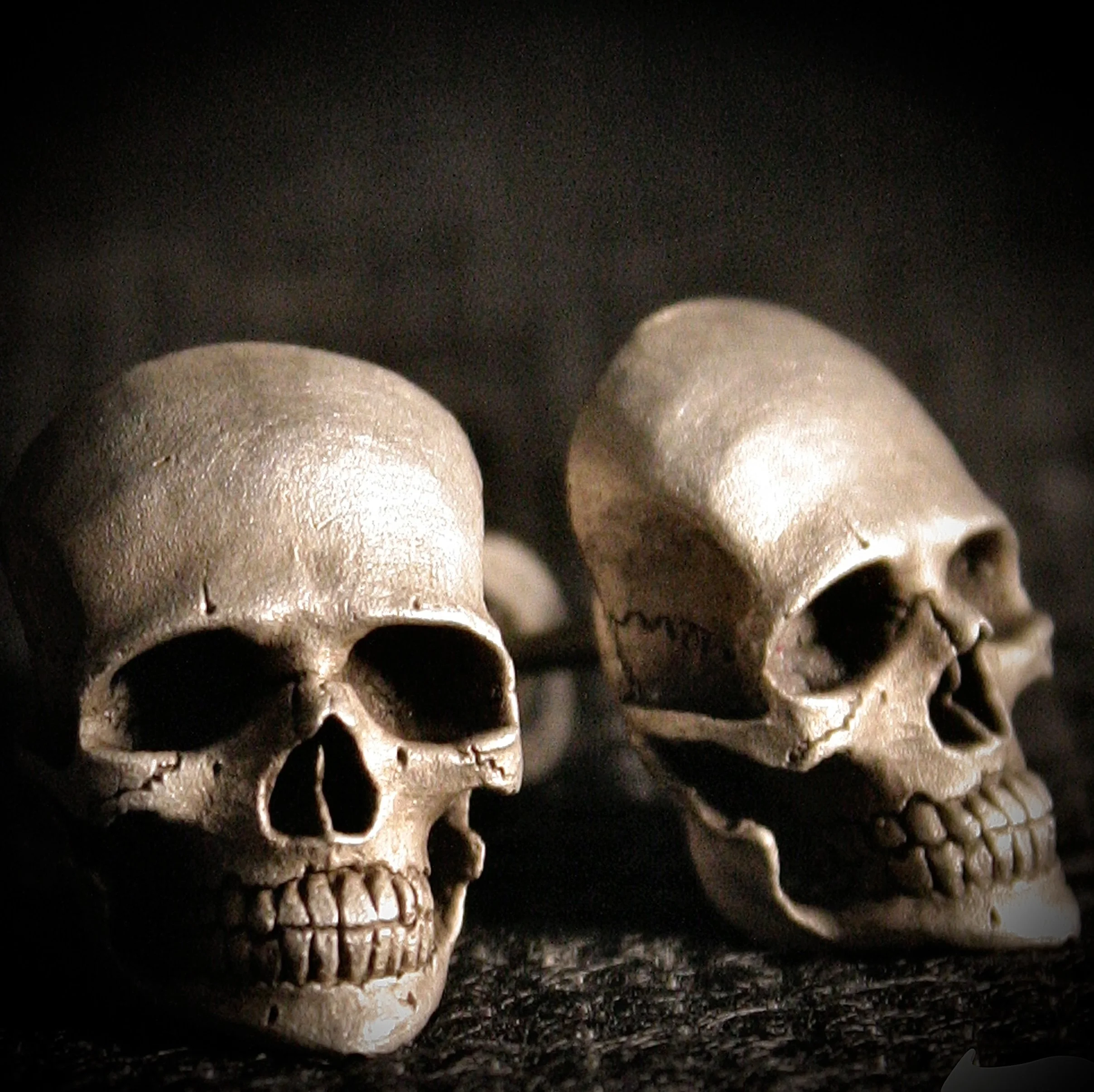 Micro Skull Stud Earrings