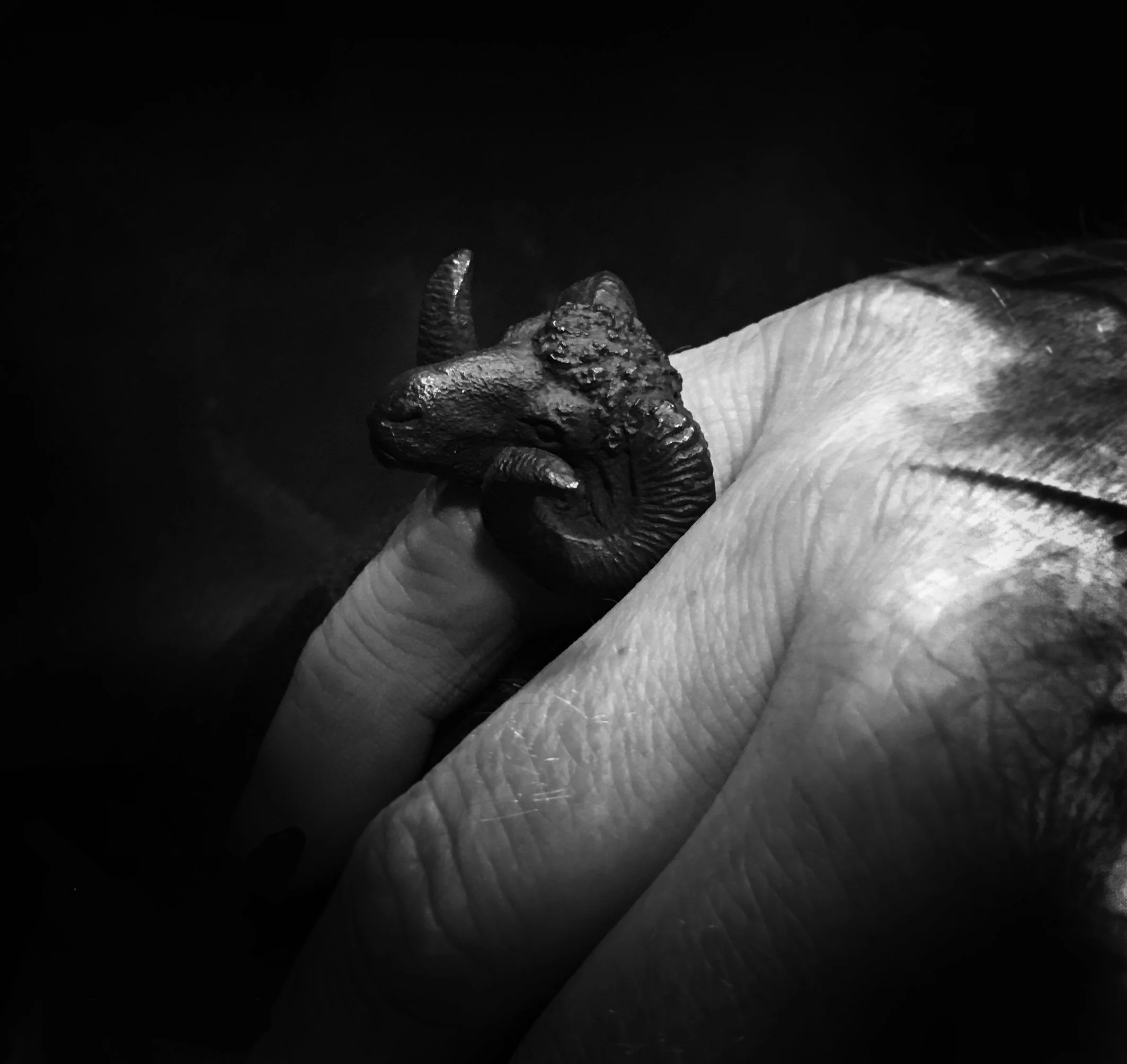 Datei 17.12.17, 21 03 55.jpg