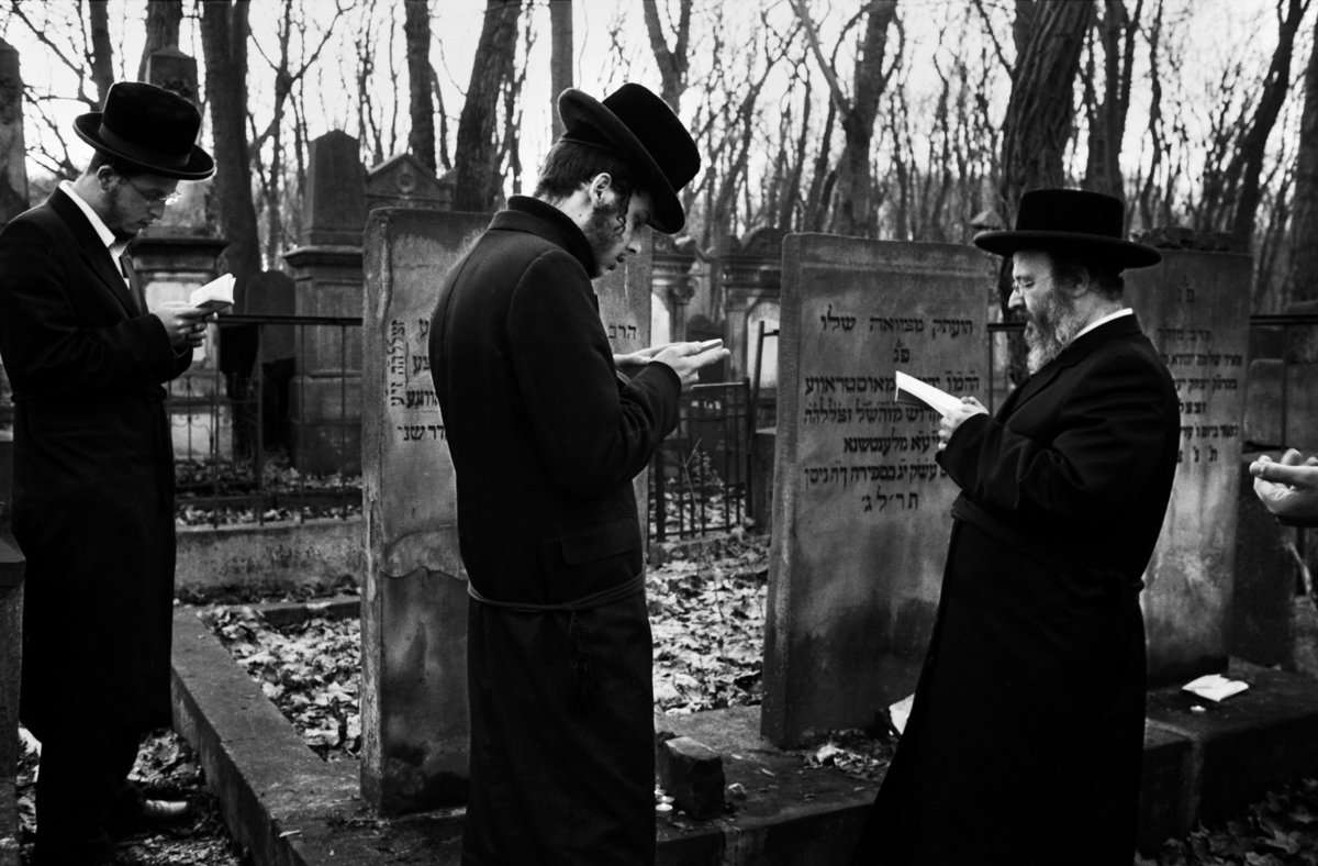 img447-2-2.jpg