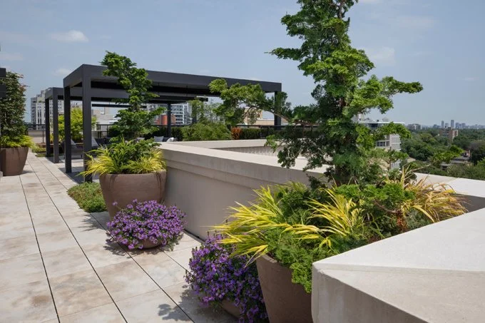 Photographer: Simon Tanenbaum