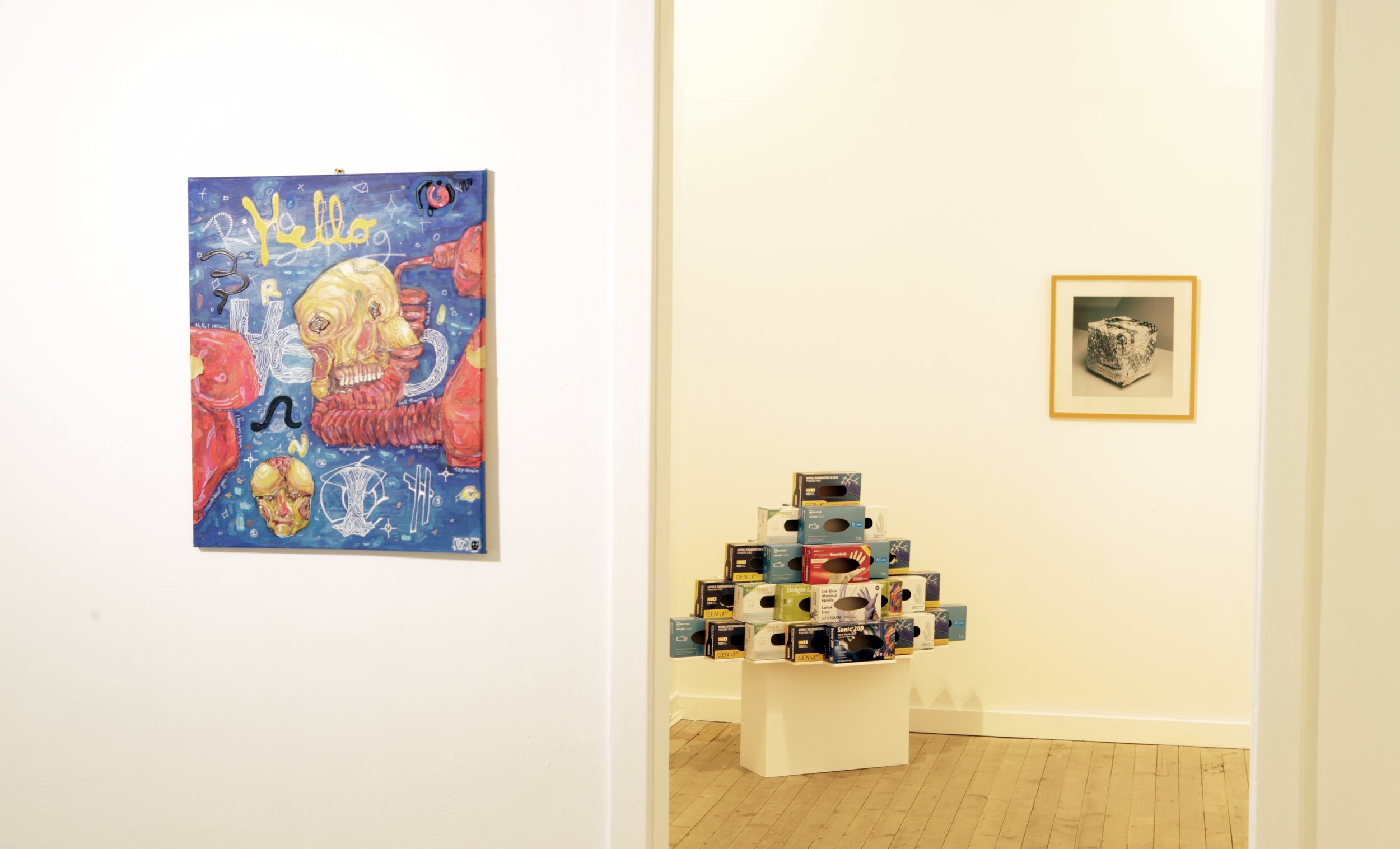 Meadows Gallery III