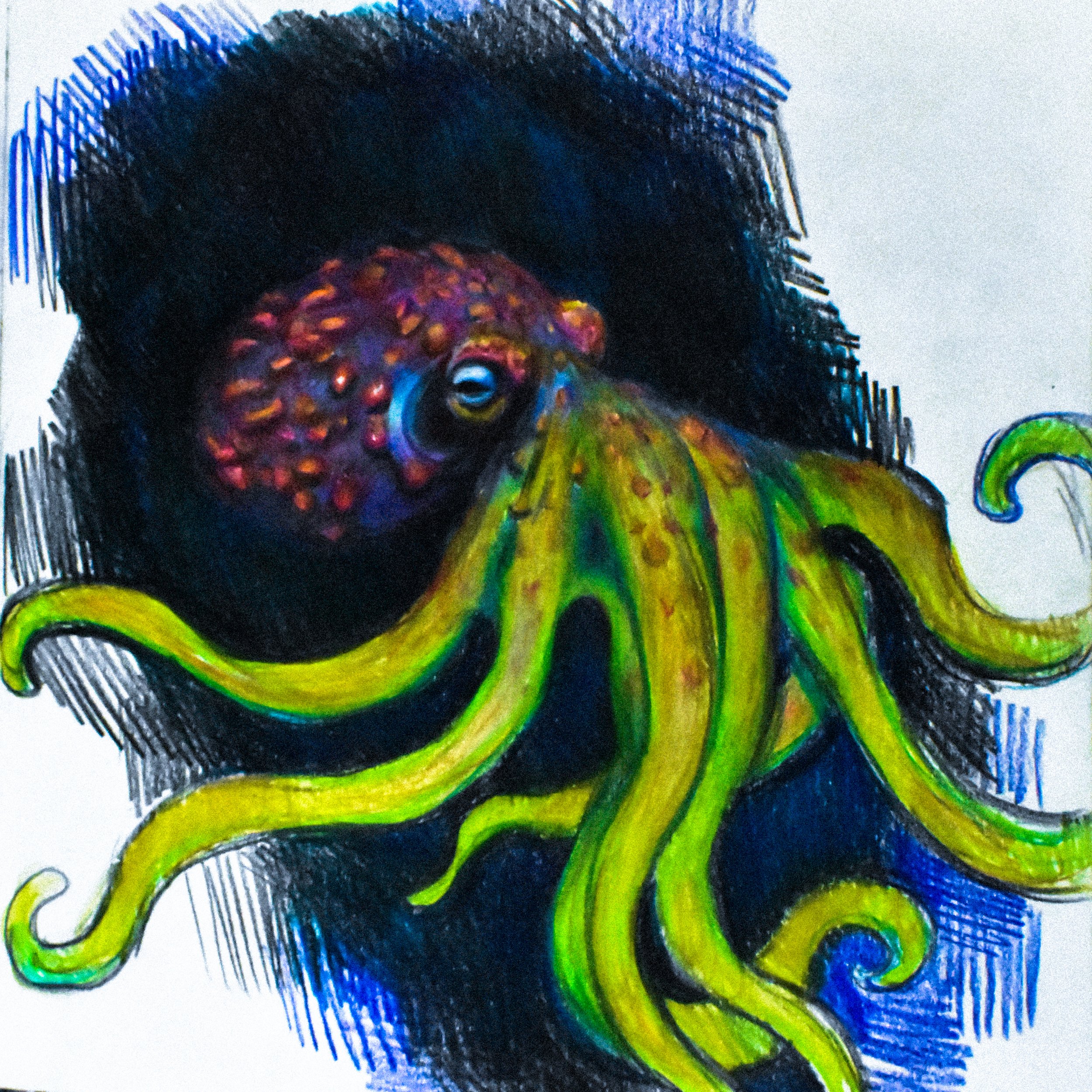 Maine Nocturne-8.jpg