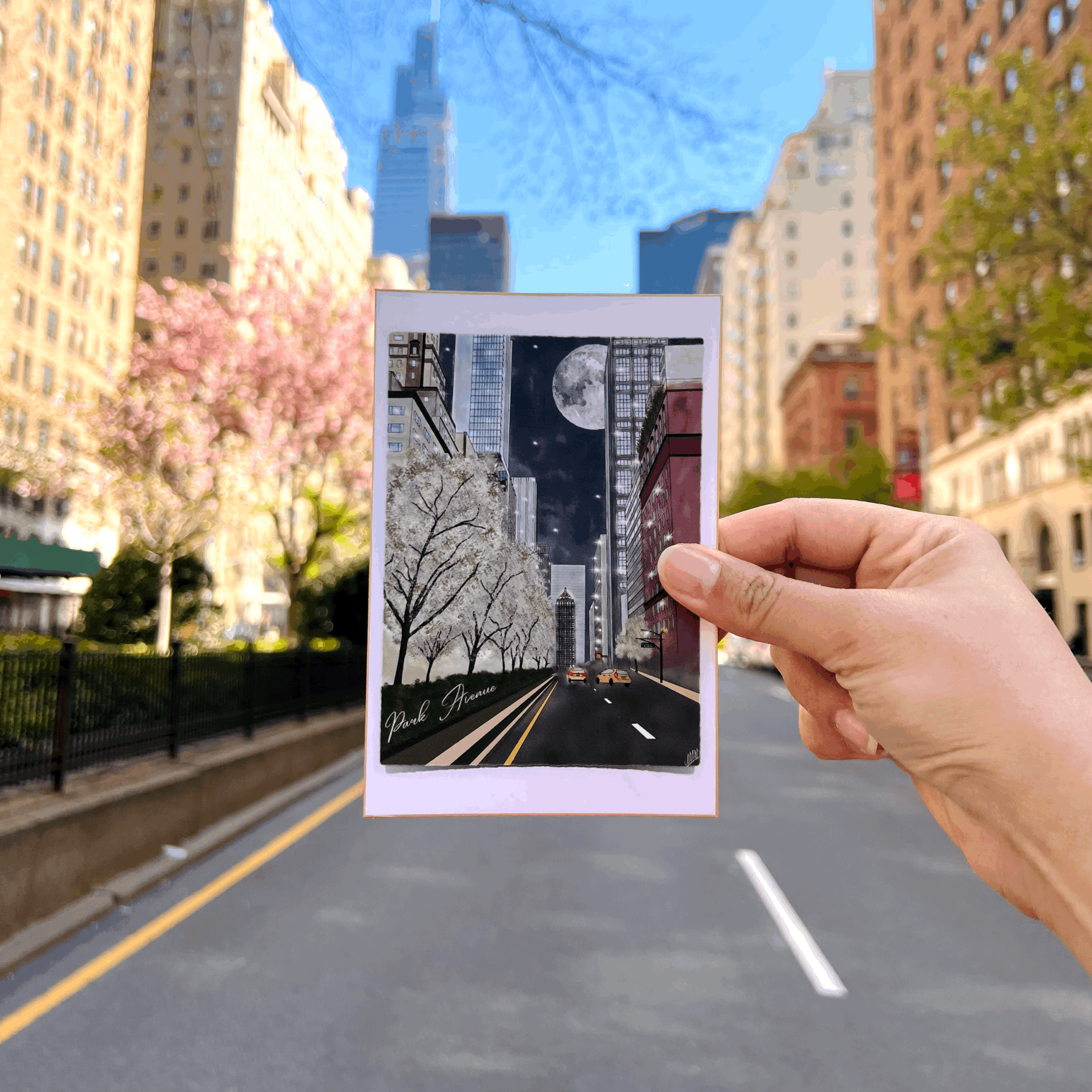 Park Avenue NYC Postcard
