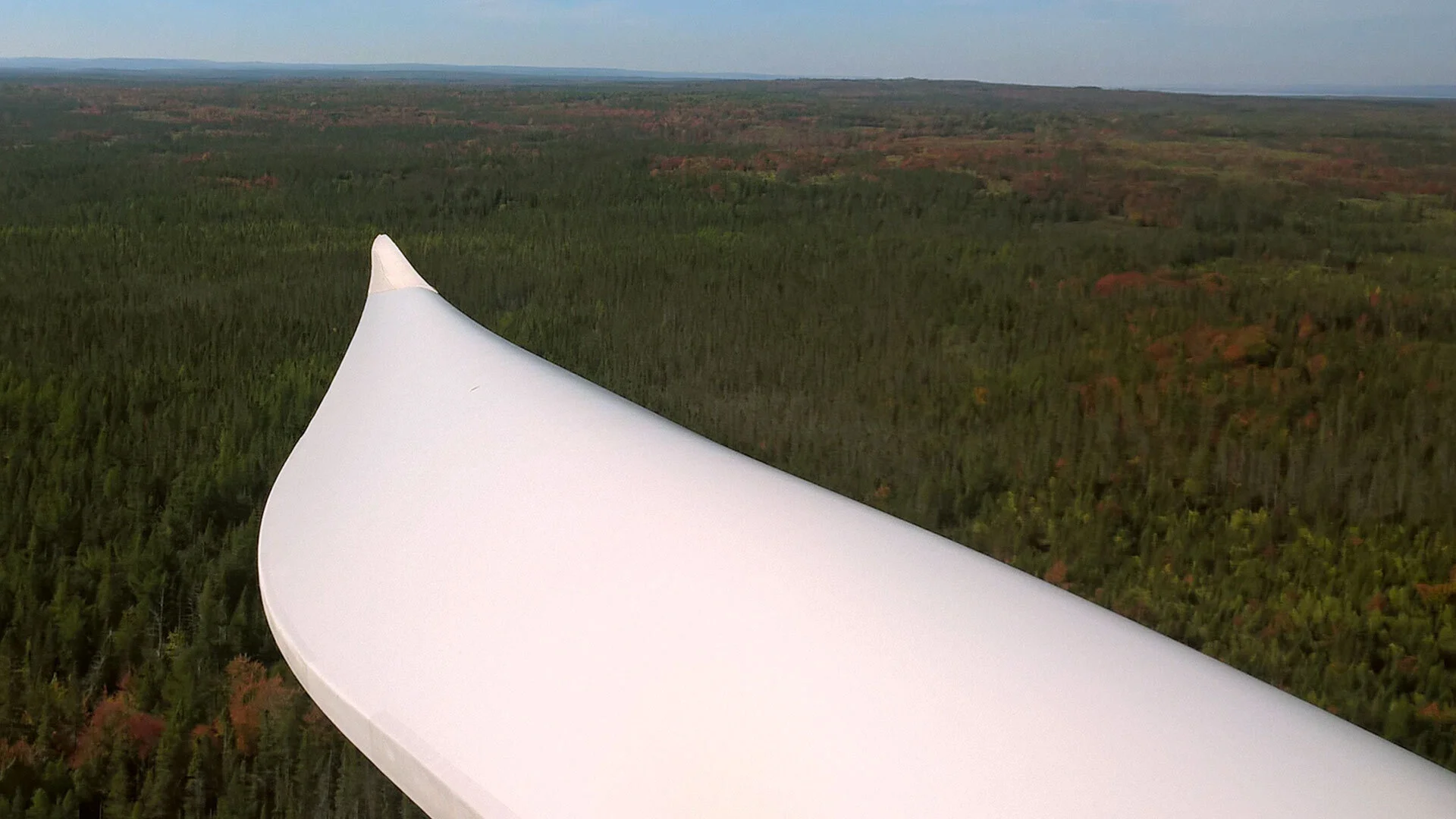 View from a small airplane wing overlooking a dense forest and distant horizon under a clear sky.