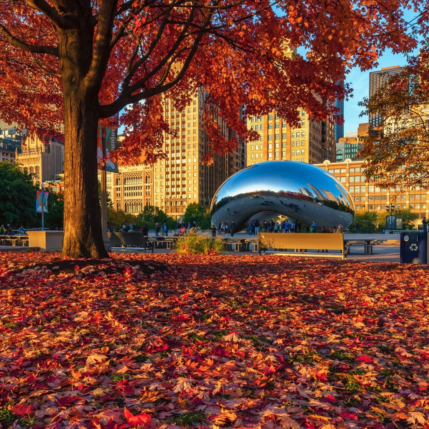 Chicago does it AGAIN!! 👏👏👏👏👏👏👏👏 A record breaking 8 years straight as the BEST BIG CITY IN THE U.S. voted on by @cntraveler readers! So proud to work w this incredible city for 7 amazing years 🥰 Congratulations 🥳 to everyone @choosechicago