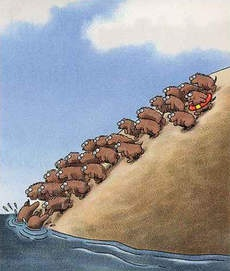 Episode 31.2025: To Be a Lemming