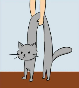 Episode 10.2026: Go Pick Up a Cat