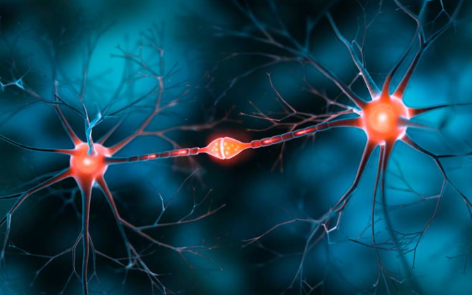 Episode 11.2026: A Couple of Brain Cells Left