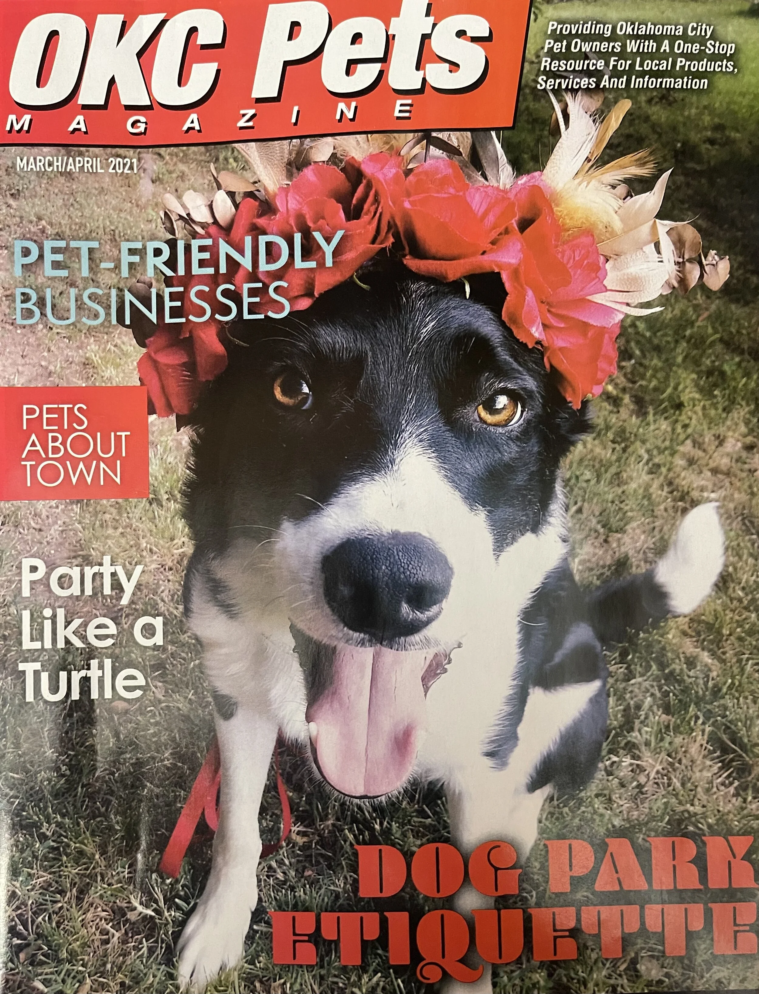 k9 corral pet containment system