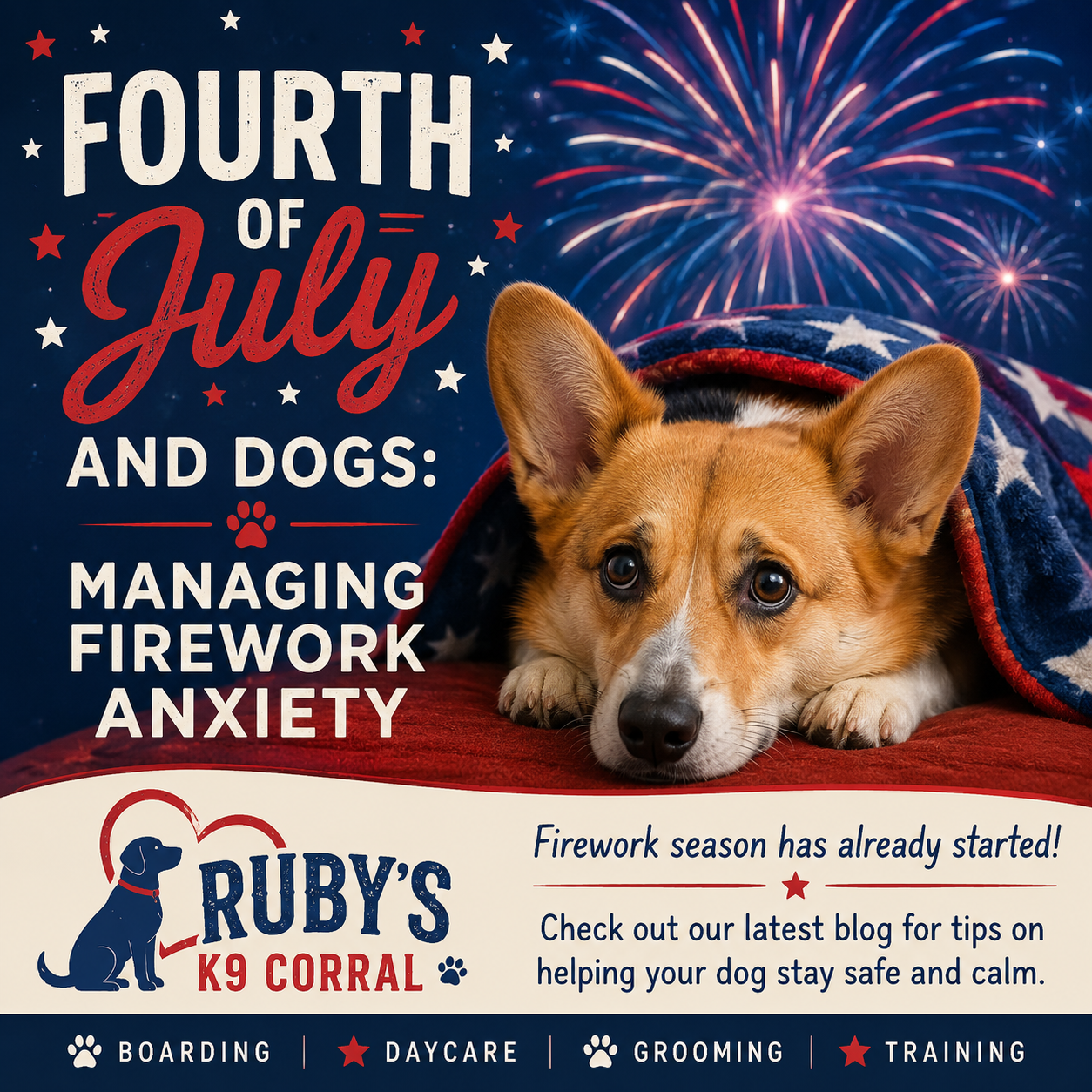 Fourth of July and Dogs: Managing Firework Anxiety