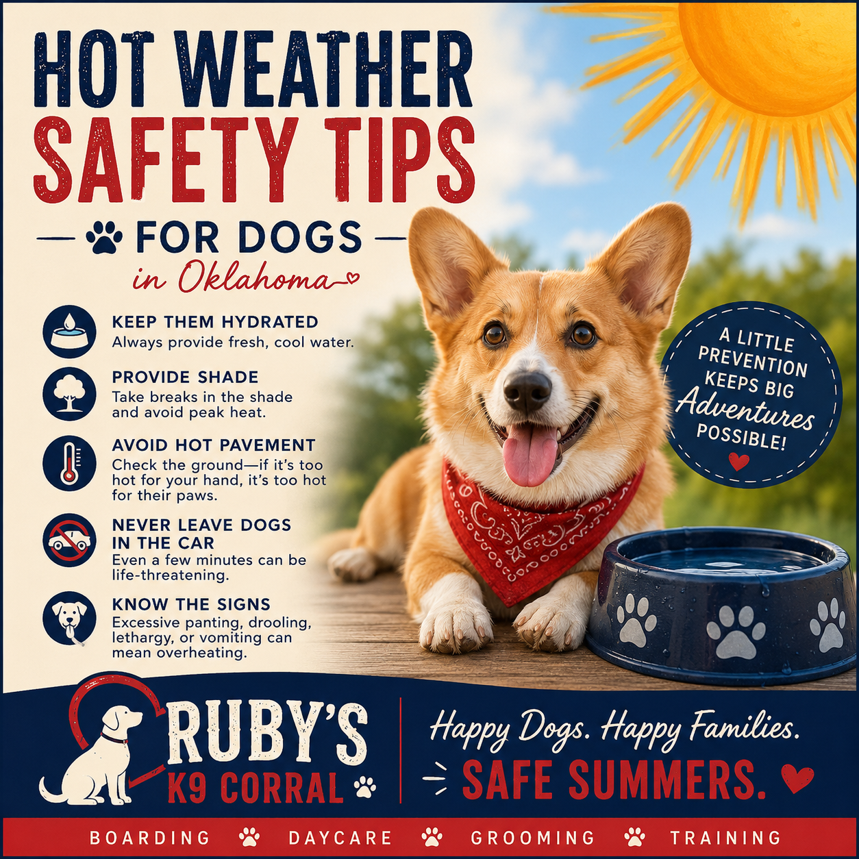 Hot Weather Safety Tips for Dogs in Oklahoma