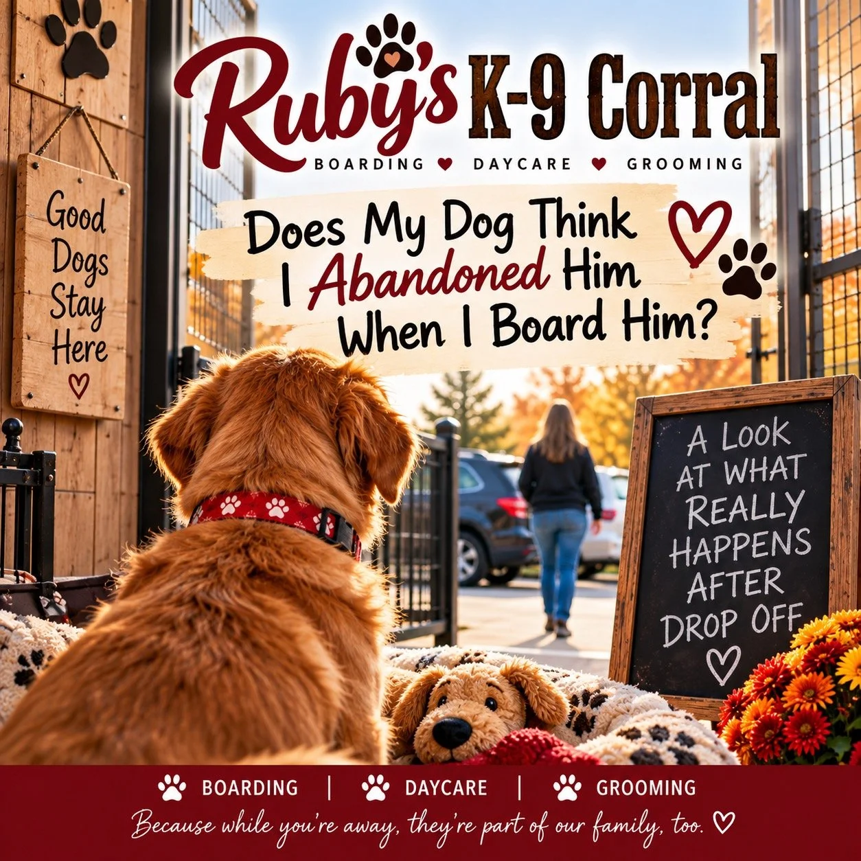 Does My Dog Think I Abandoned Him When I Board Him?