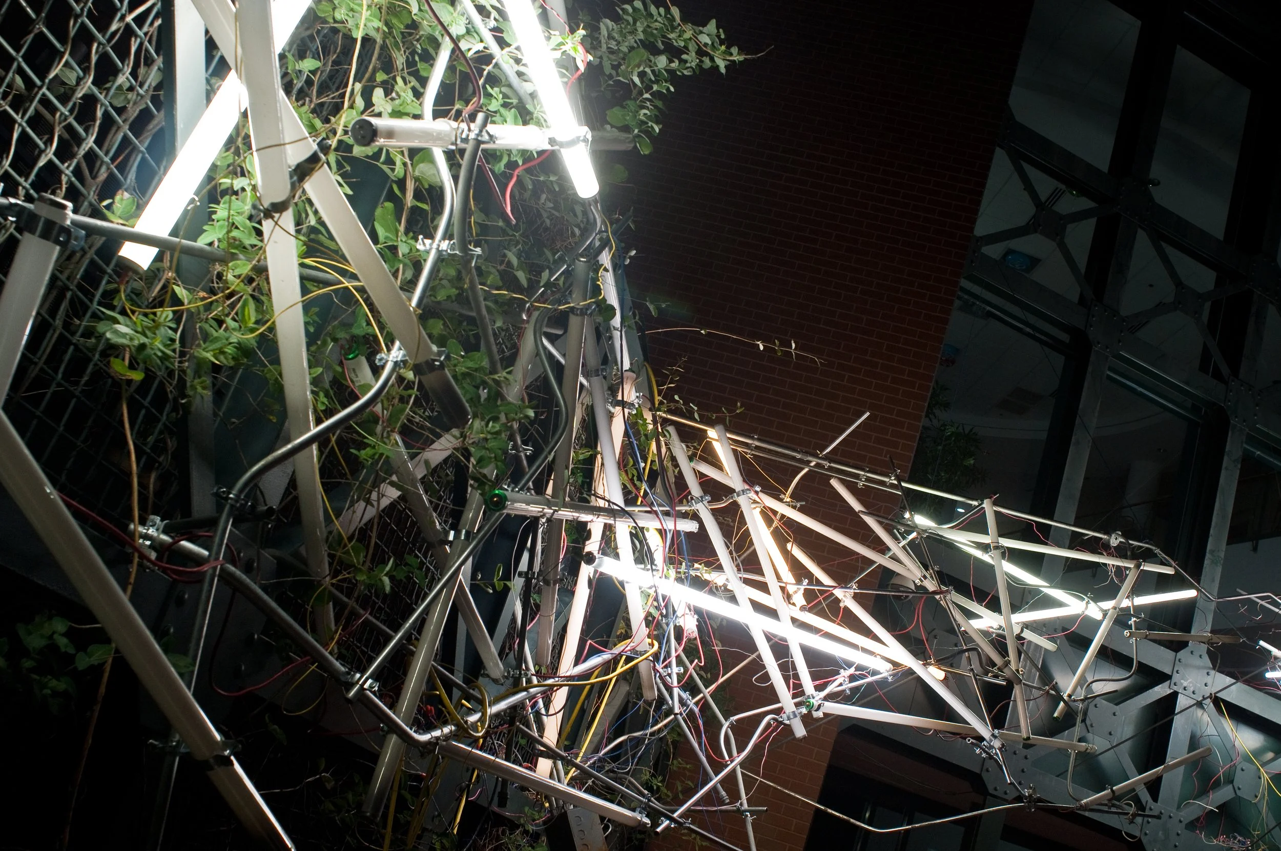 inlight_0014.jpg