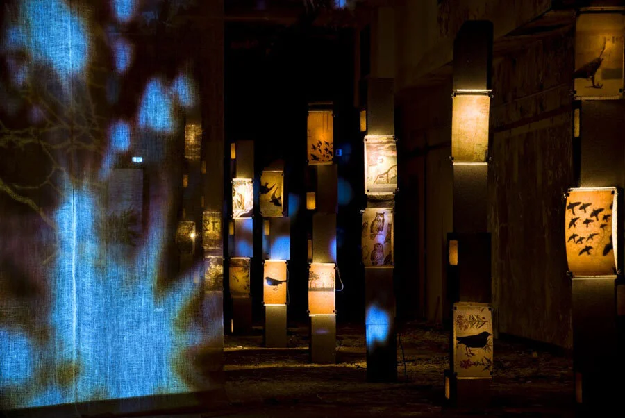 Joshua Poteat and Roberto Ventura, For Grabriel, InLight 2009, photo by Heidi Hess