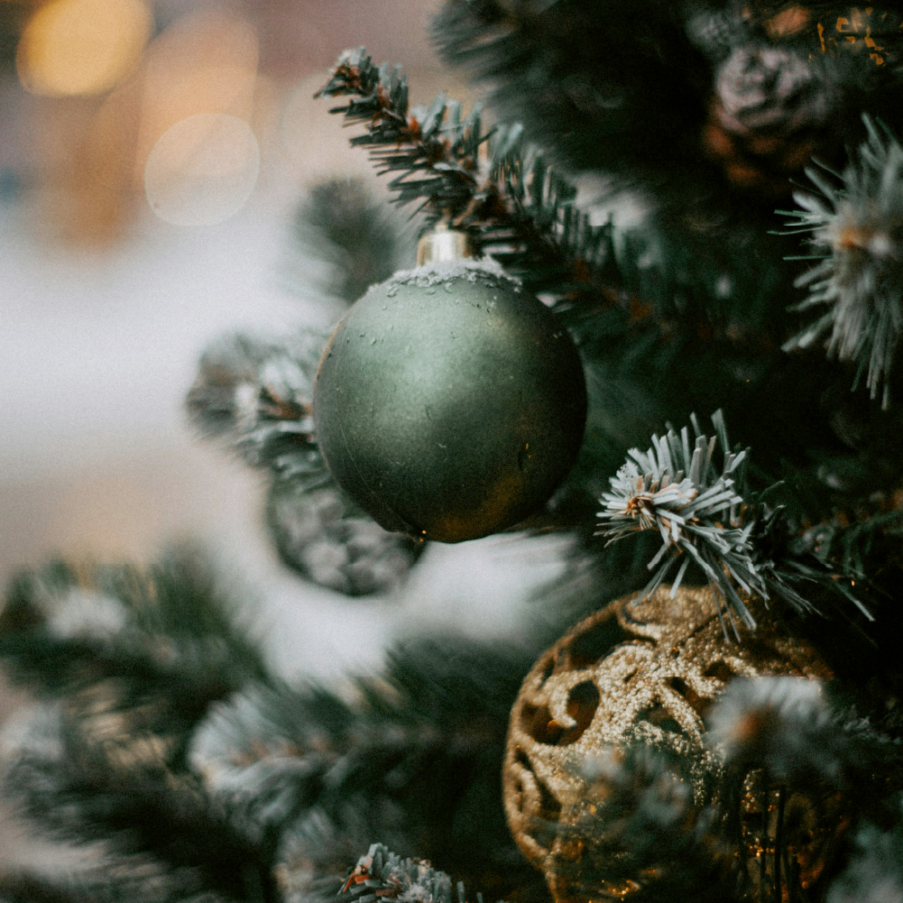 Home For The Holidays