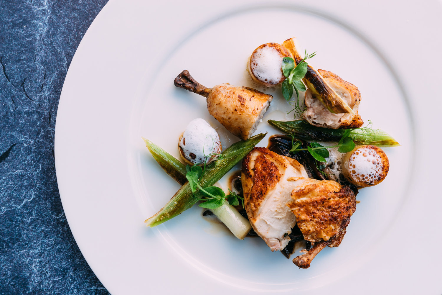 Ellerman+House+-+Chicken+-+2500px.jpg