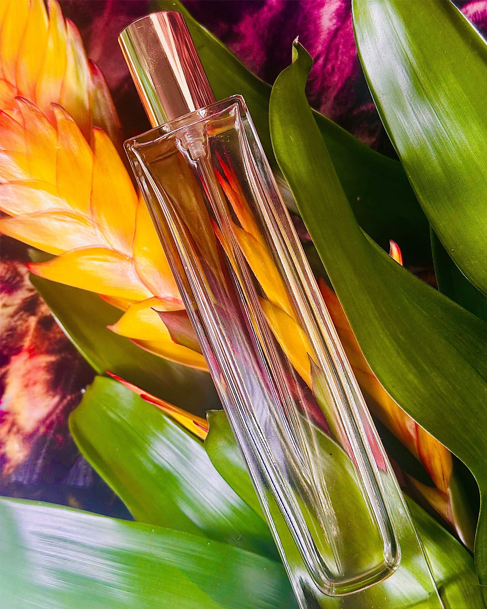 Hermitage Noel 1878™ & Roscuro™ 100ml Room Mists