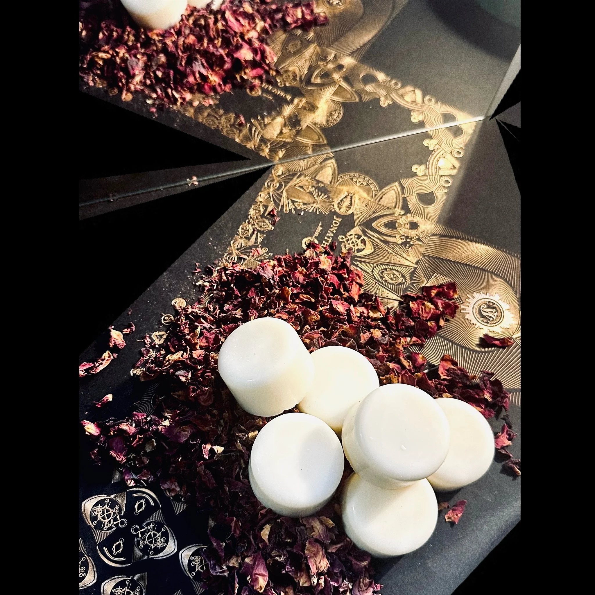 Whitagram-Image 17.JPG