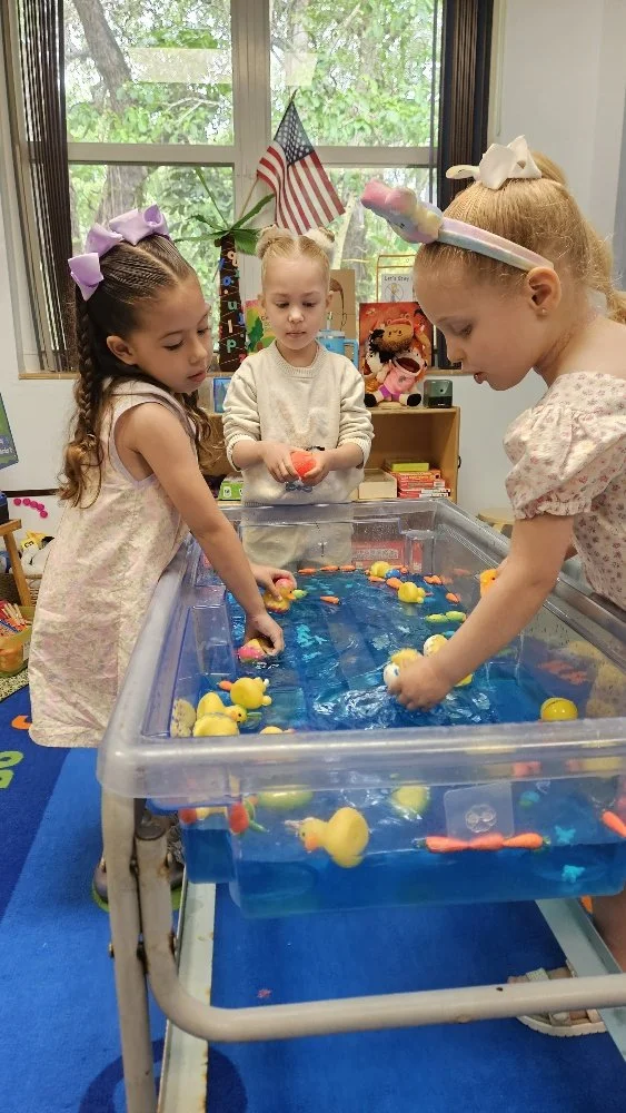 20260402_105523_resized.jpg