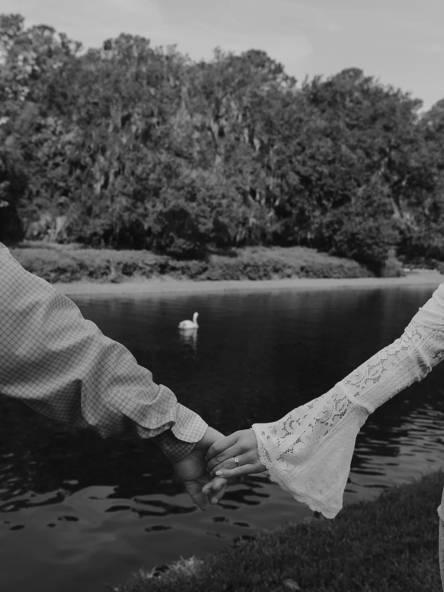 Swans on the water, moss-draped oaks, and that timeless kind of love 🤍
@middletonplaceevents has a way of turning every moment into a scene straight out of a movie!