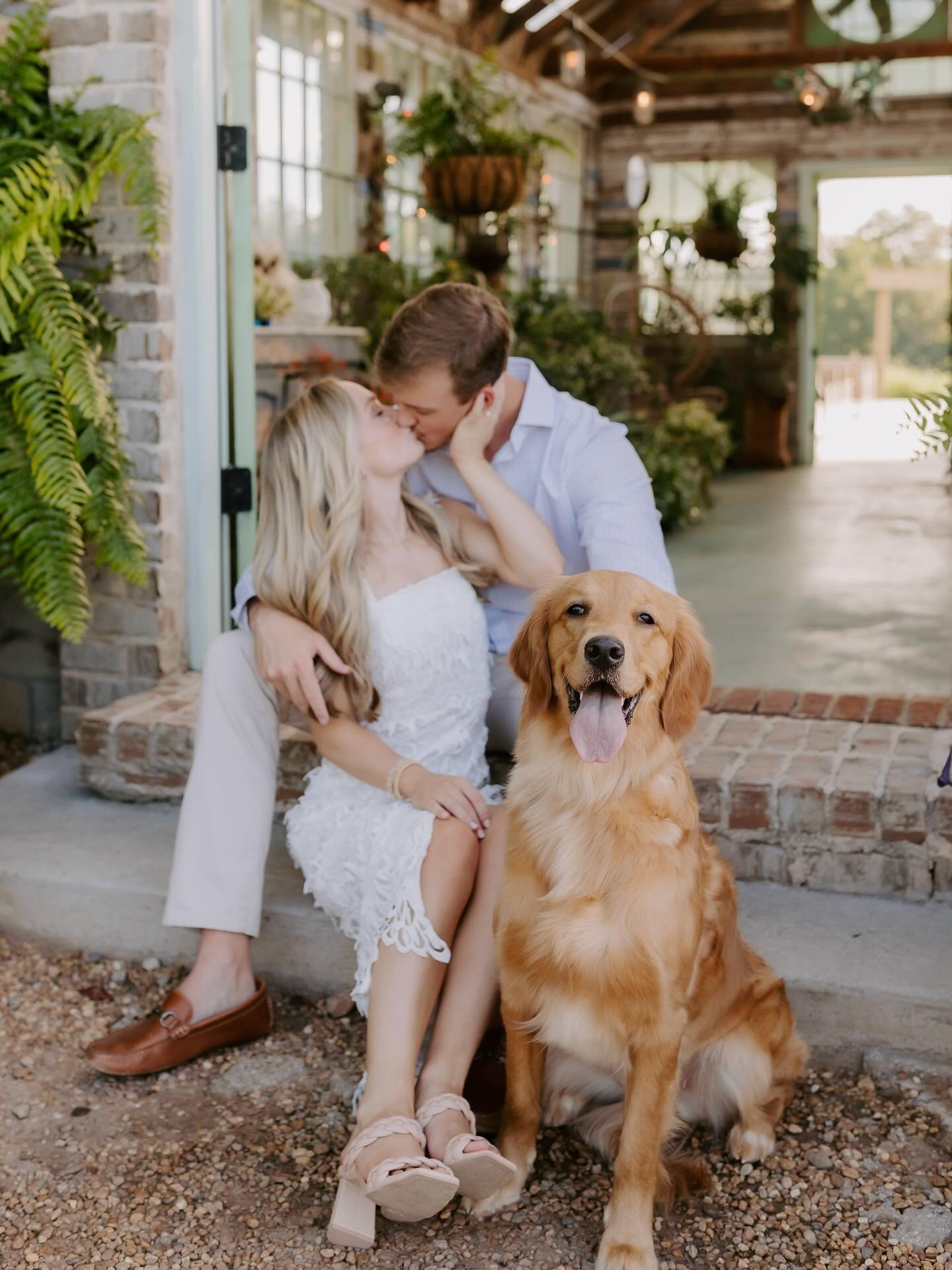 Things I love: sessions with pups &amp; wildflowers!!