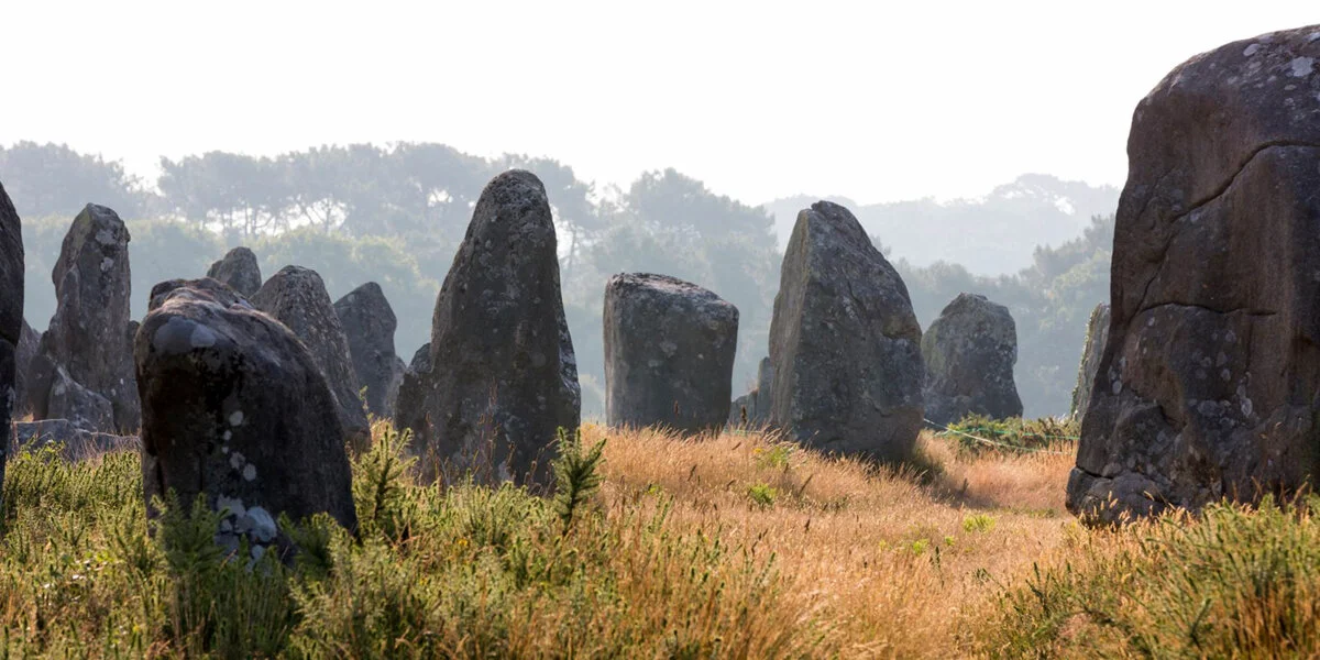 Menhirs of the Carnac Alignments in the heath, 3 km from Camping Les Druides