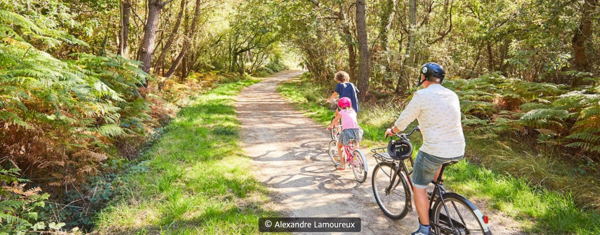 A family cycling along the V5 greenway through the woodland near Erdeven, Morbihan