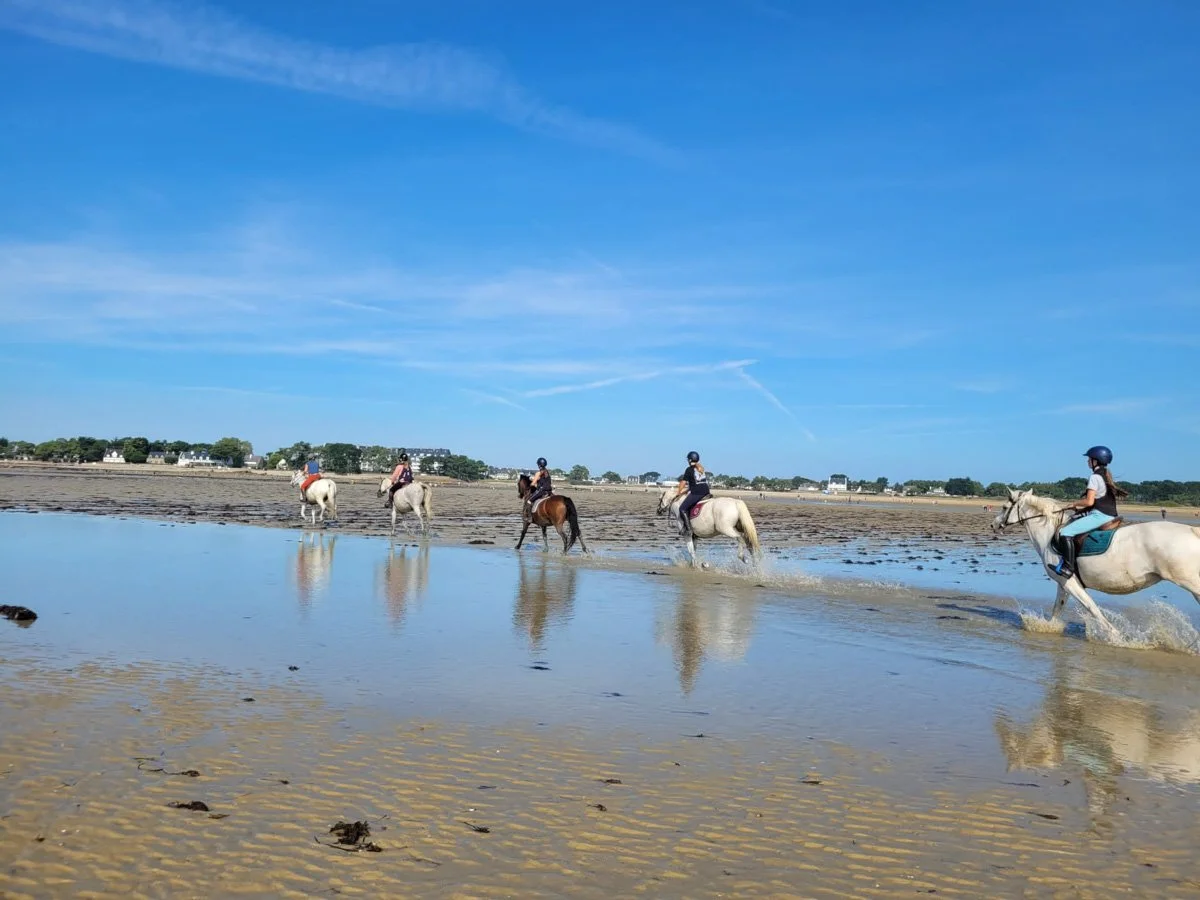 A horse ride on the beach at low tide near Carnac, in Quiberon Bay