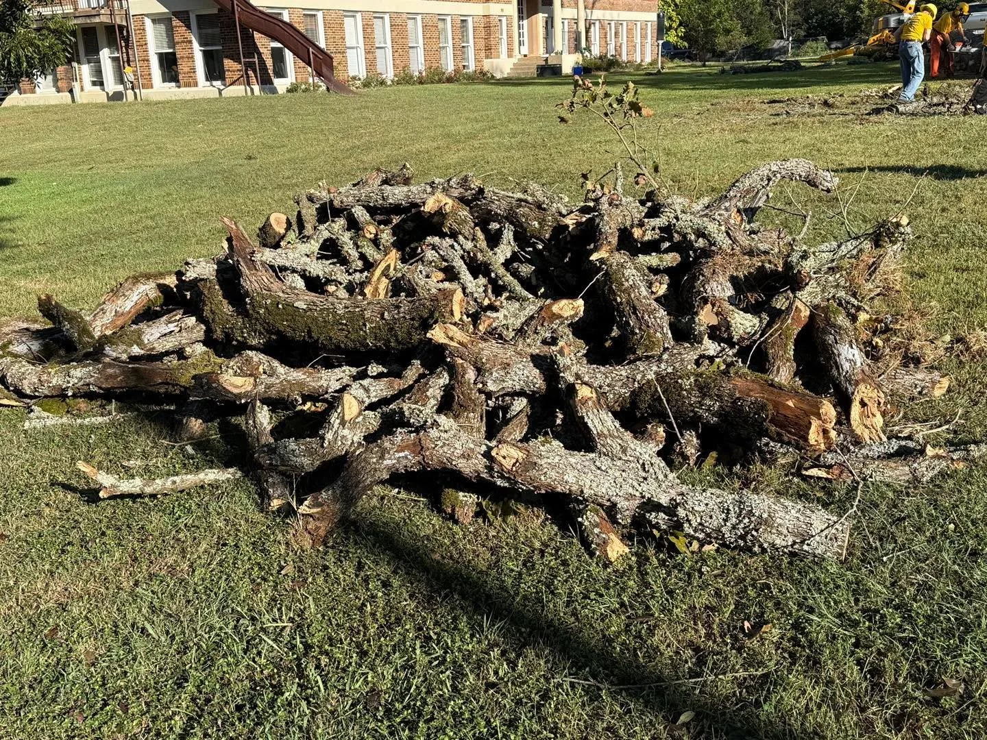 Need some firewood? Hope Station is having two large oak trees taken down.
If you need firewood, there will be wood here first come first serve.
