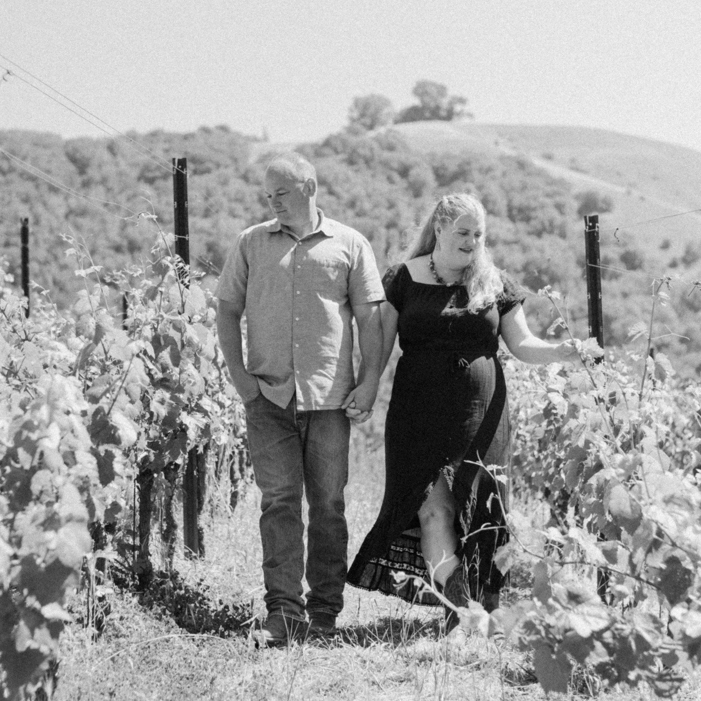 The quiet moments behind a first-generation family-owned vineyard, documented with intention. @argotwines