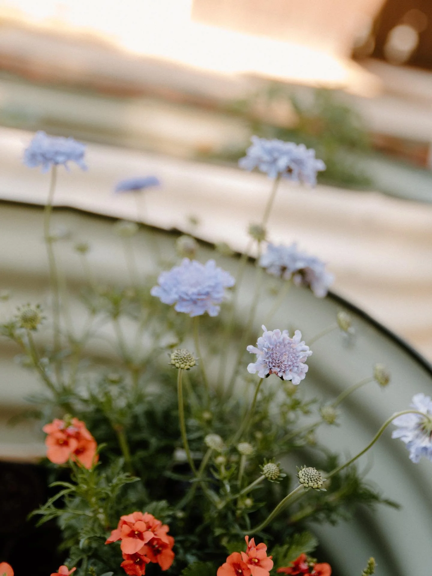 Cultivating, tending, and being patient in this season. Lots of things are happening behind the scenes, not only in my personal life, but in my business as well. 

Just being led to create beauty even when things seem to feel confusing in the world. 