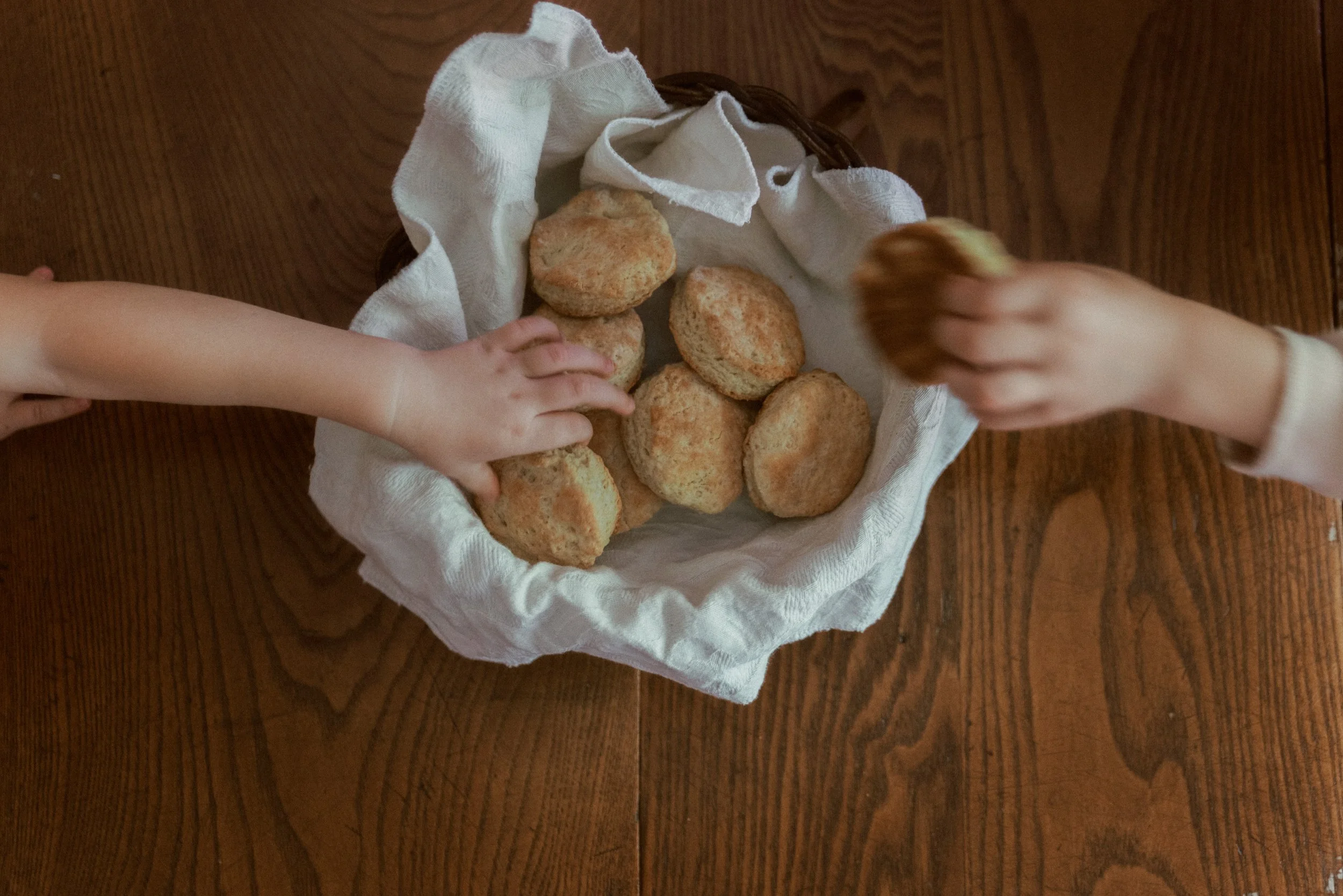 Rooted Edition | Biscuits-1.jpg