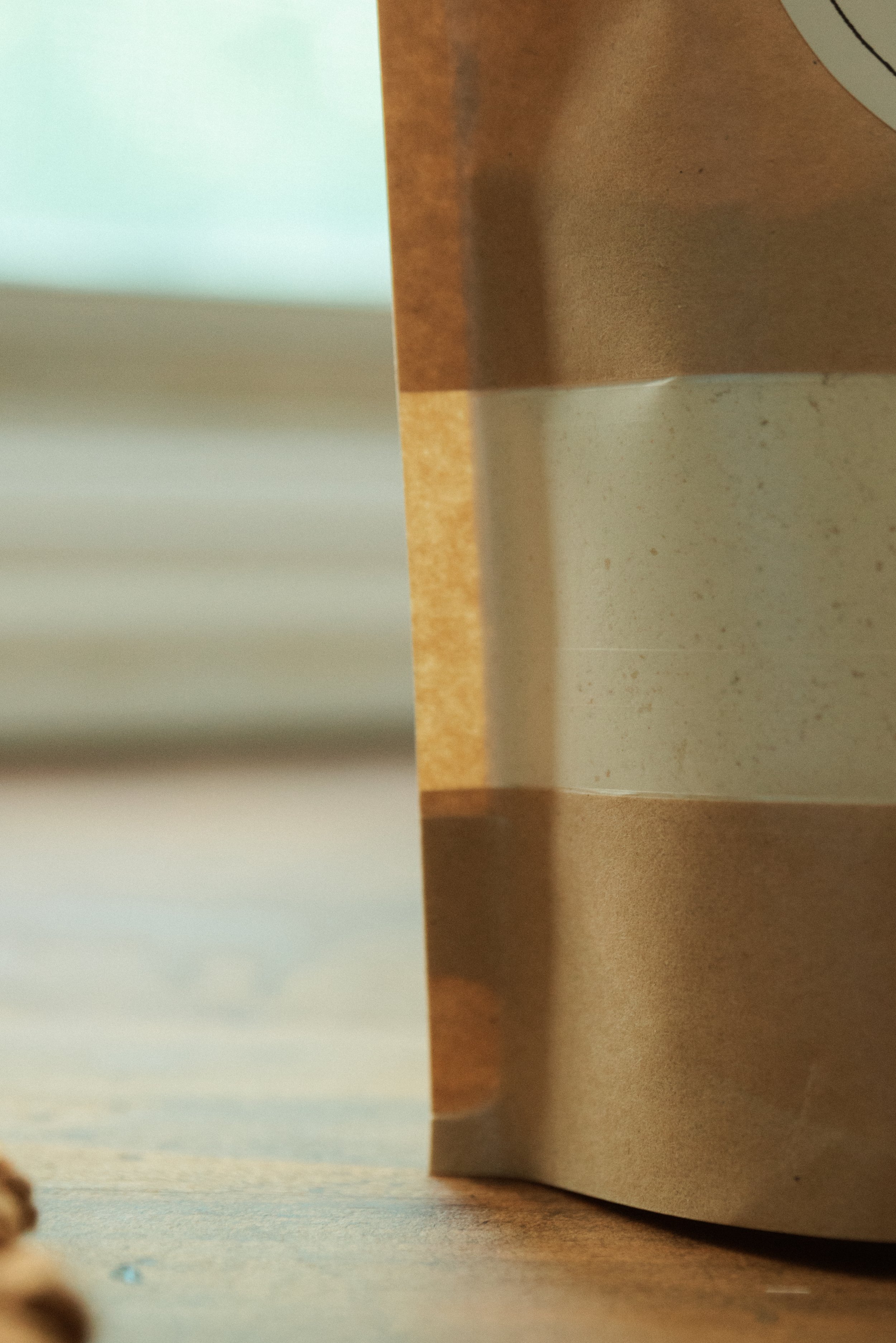 Rooted Edition Teaser-2-2.jpg