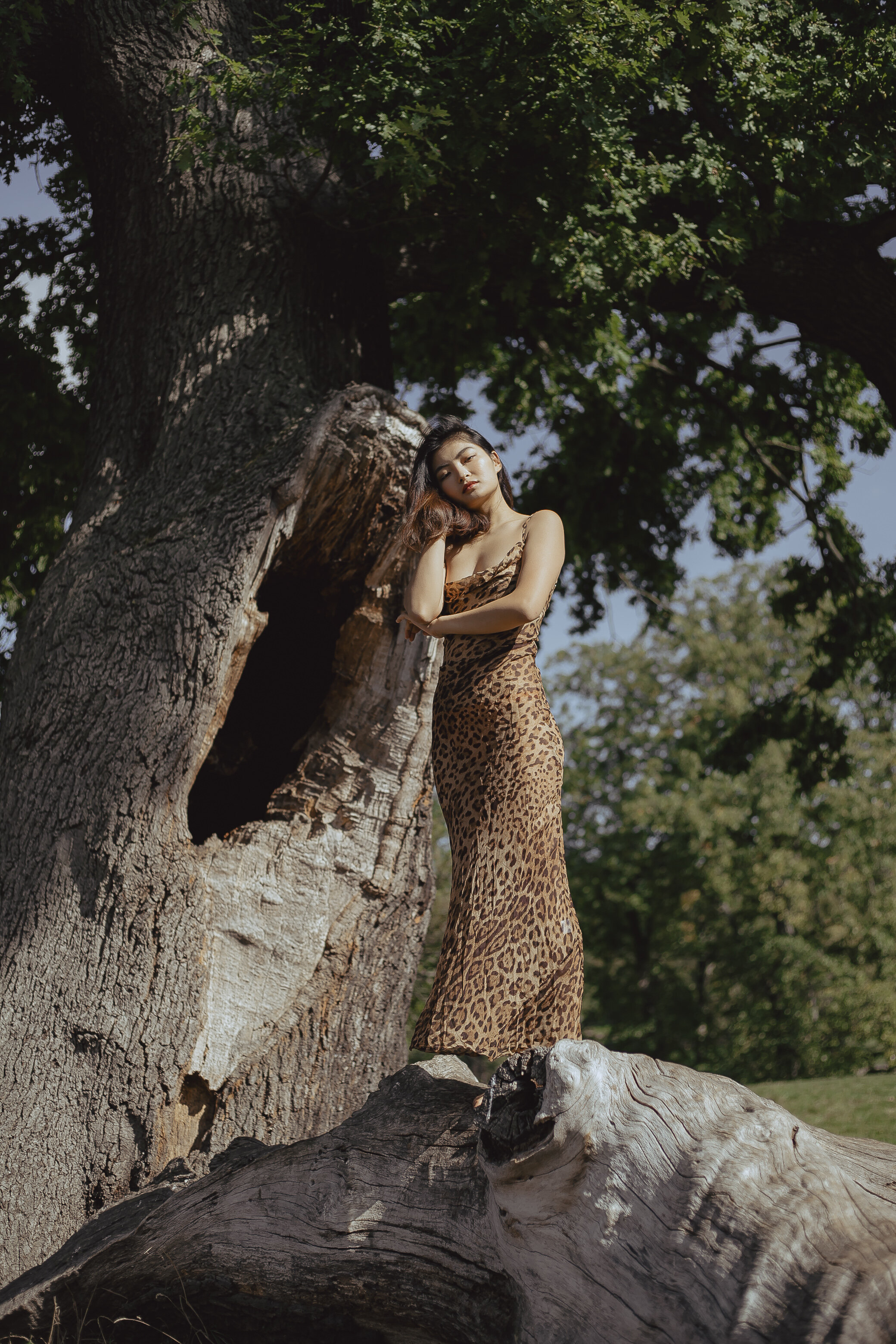 A woman in a leopard print dress standing on a large fallen tree trunk next to a large tree with thick branches and green leaves, outdoors on a sunny day.